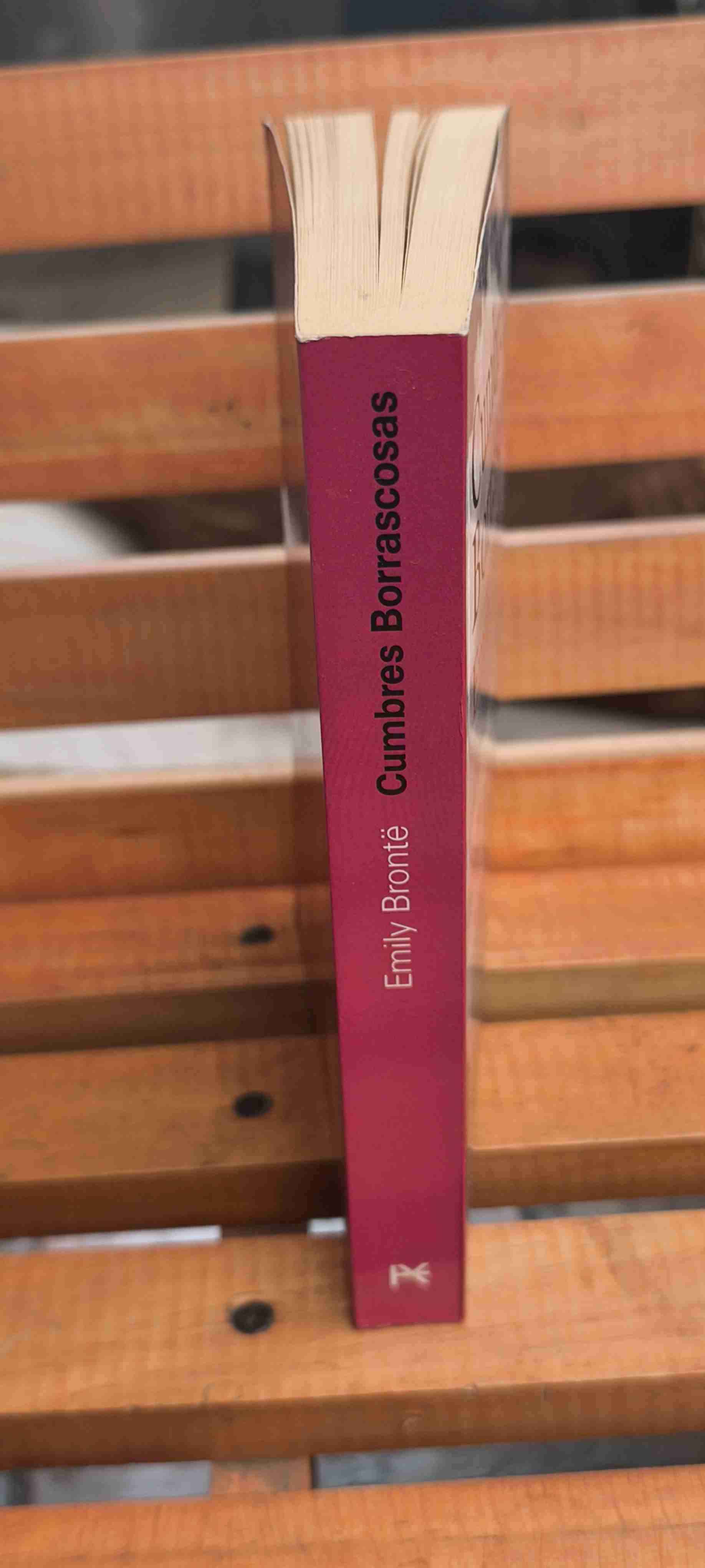 Cumbres Borrascosas Libro clasico alba editorial - miniatura 3