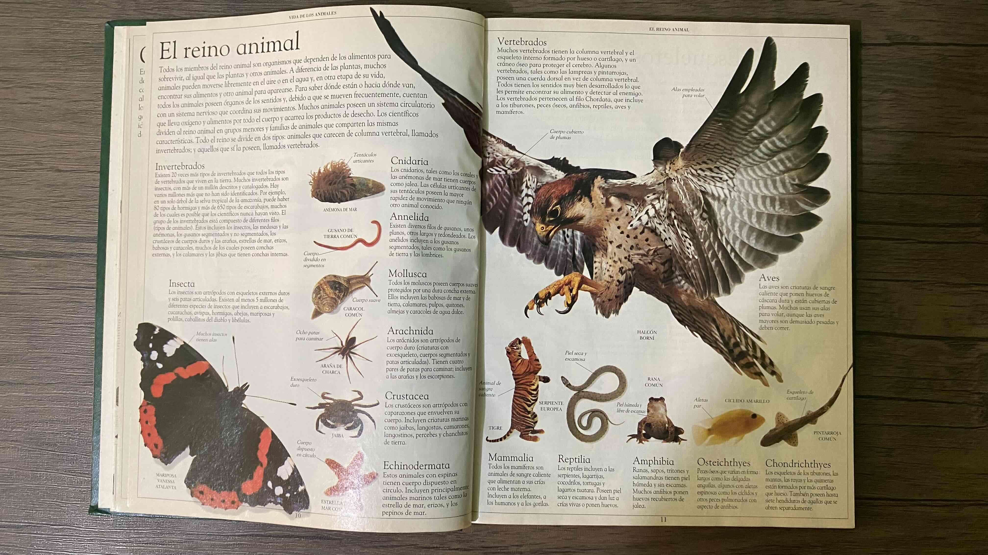 Gran enciclopedia de los animales - miniatura 3