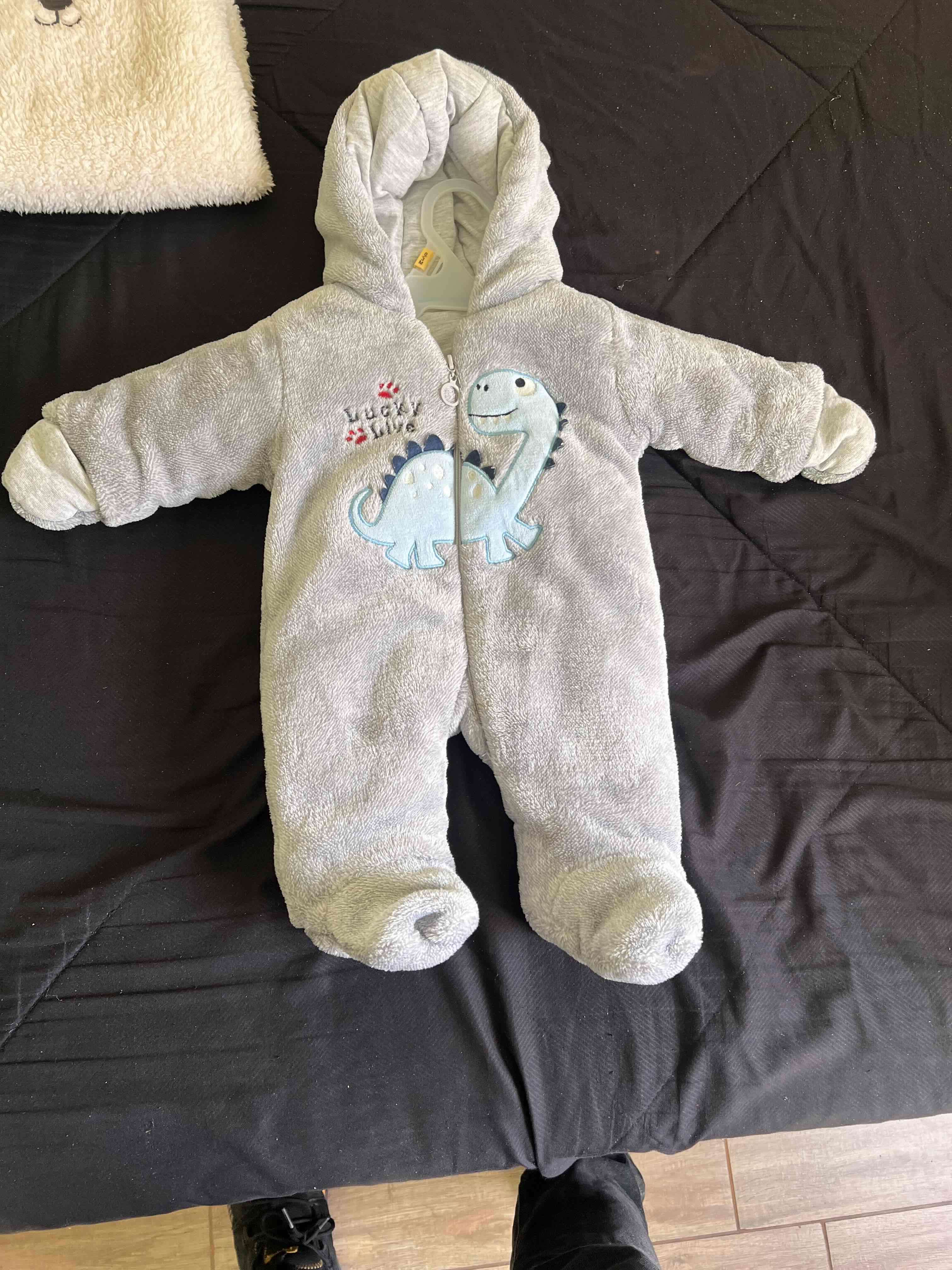 Enterito bebé gris dinosaurio
