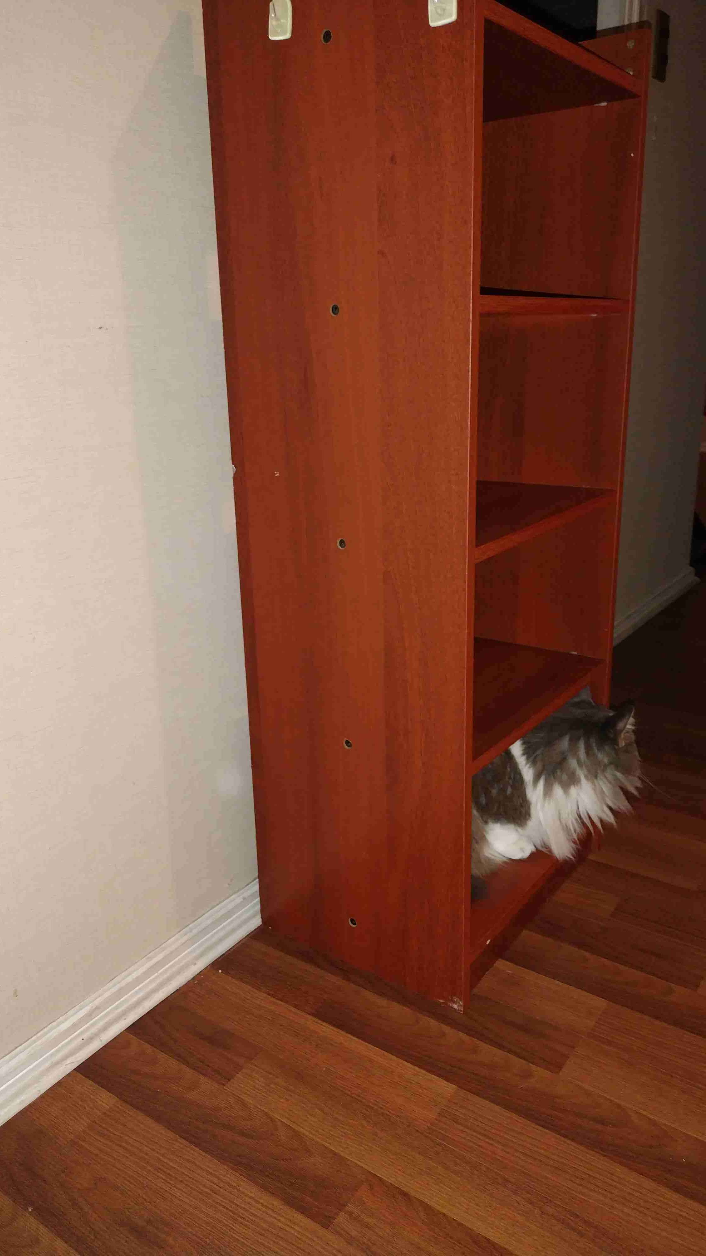 Estante de madera marrón - miniatura 3