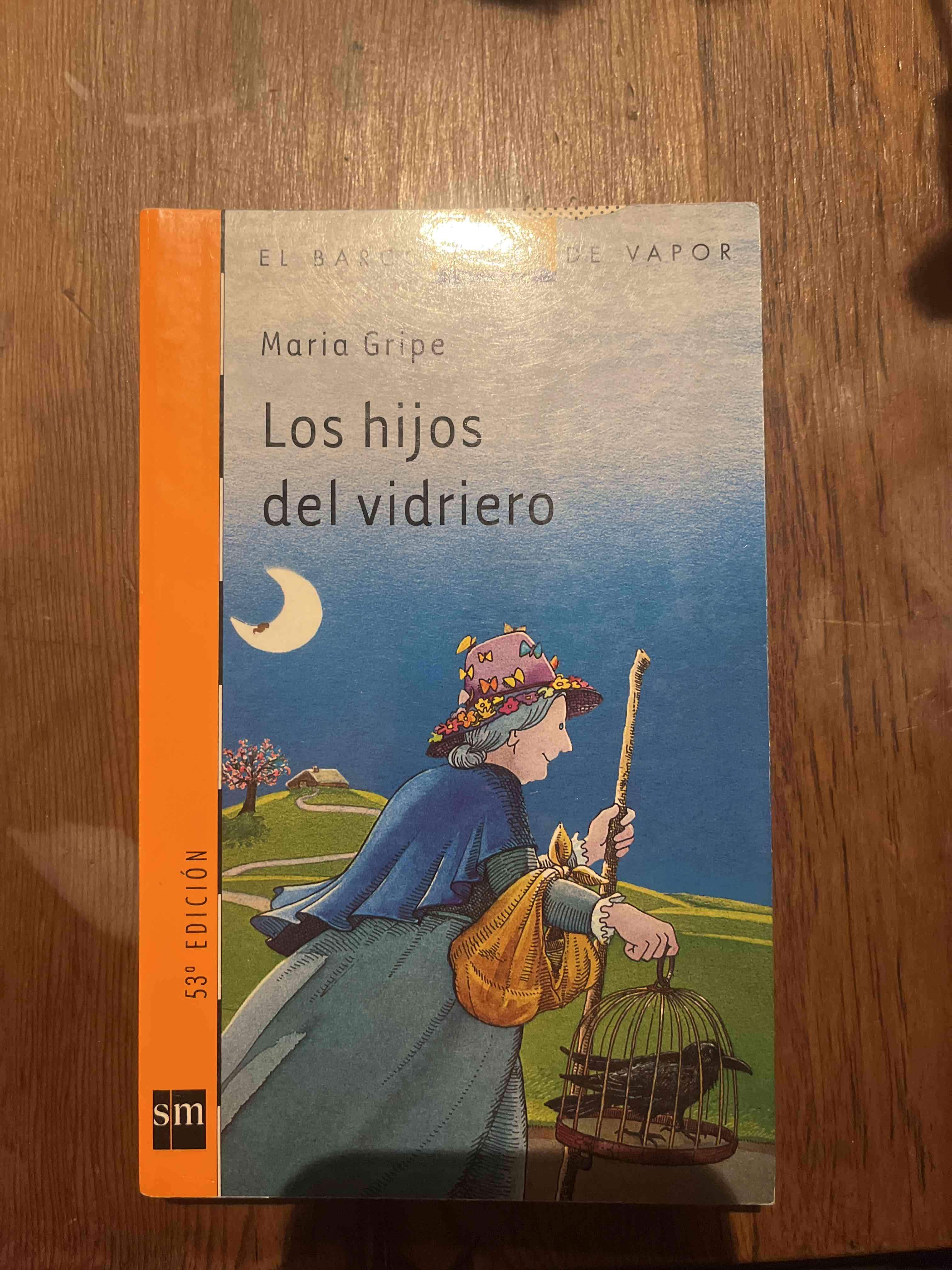 Libro Los hijos del vidriero