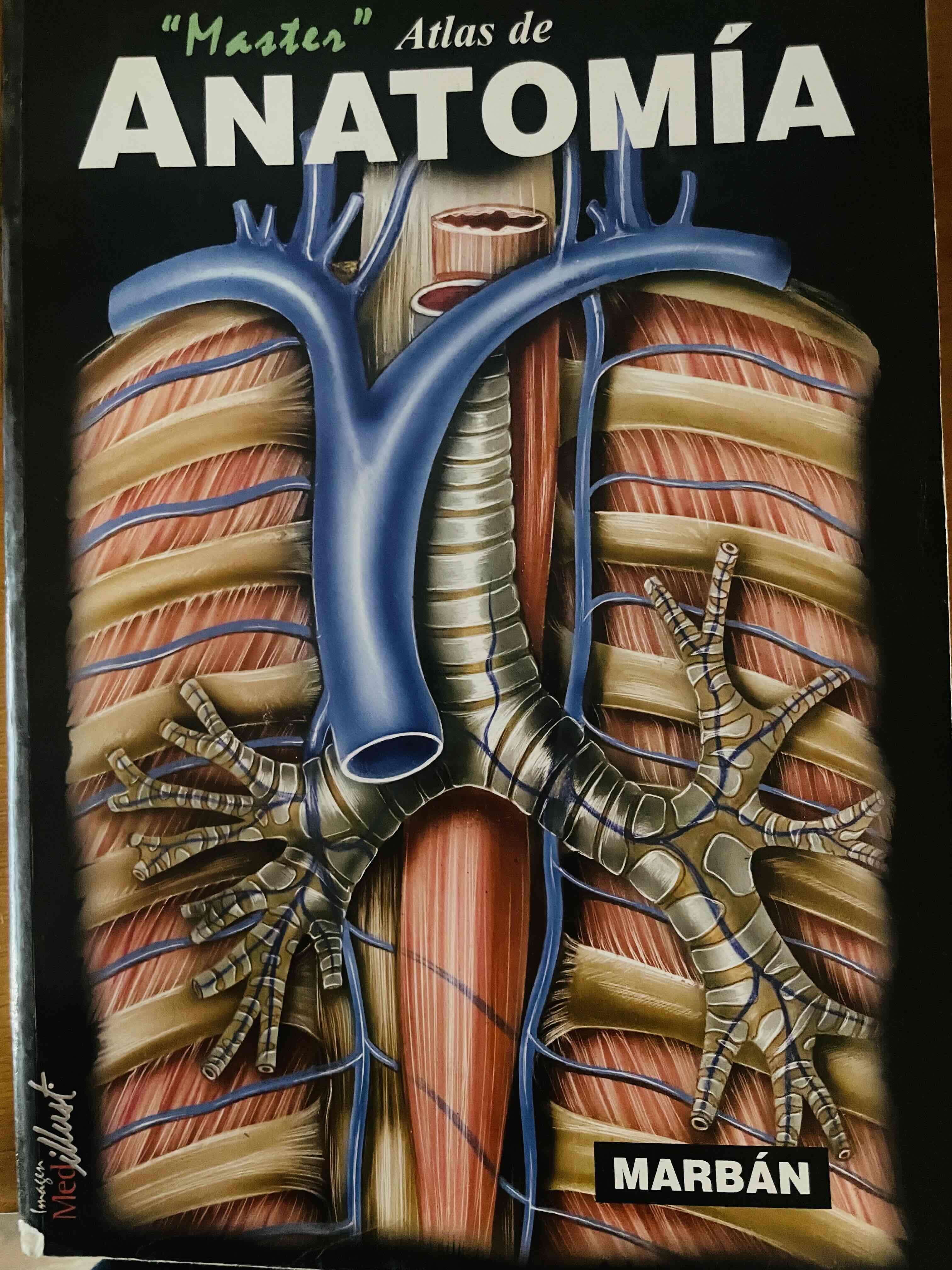 El gran libro del cuerpo humano - miniatura 2