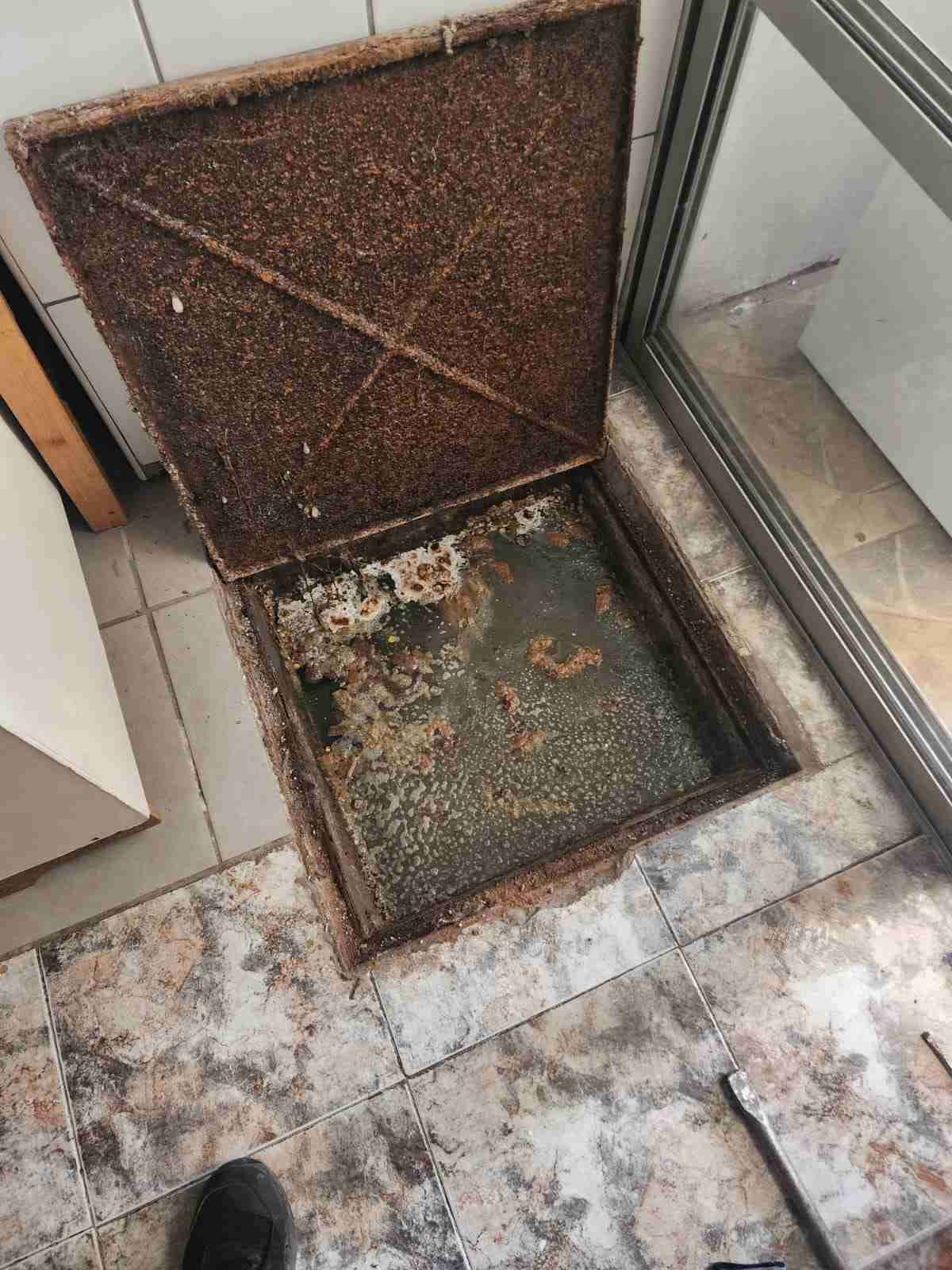 Destapes todo Santiago - miniatura 2