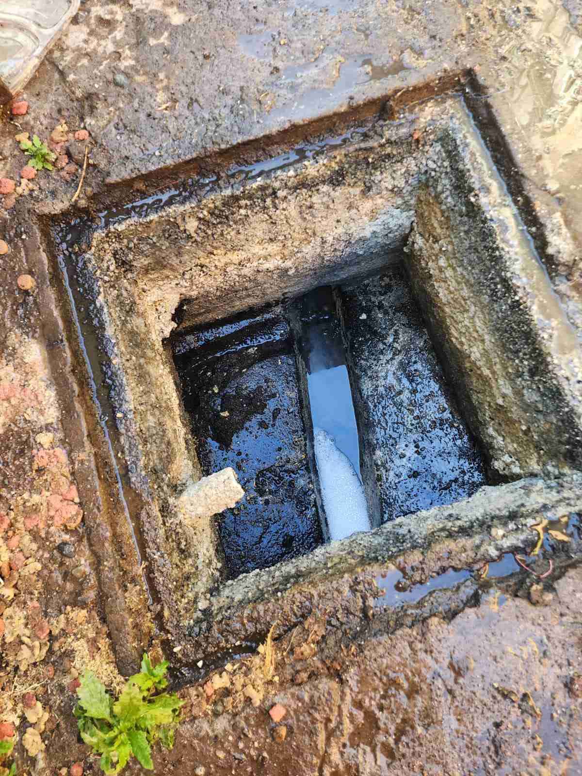 Destapes todo Santiago - miniatura 3