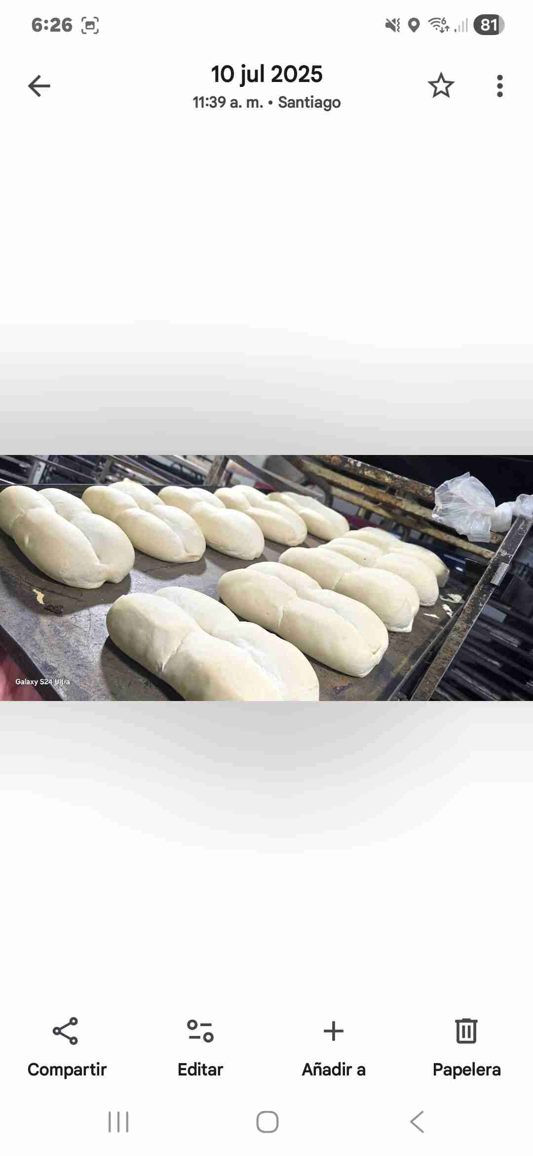 Pan al por mayor precocido - miniatura 3