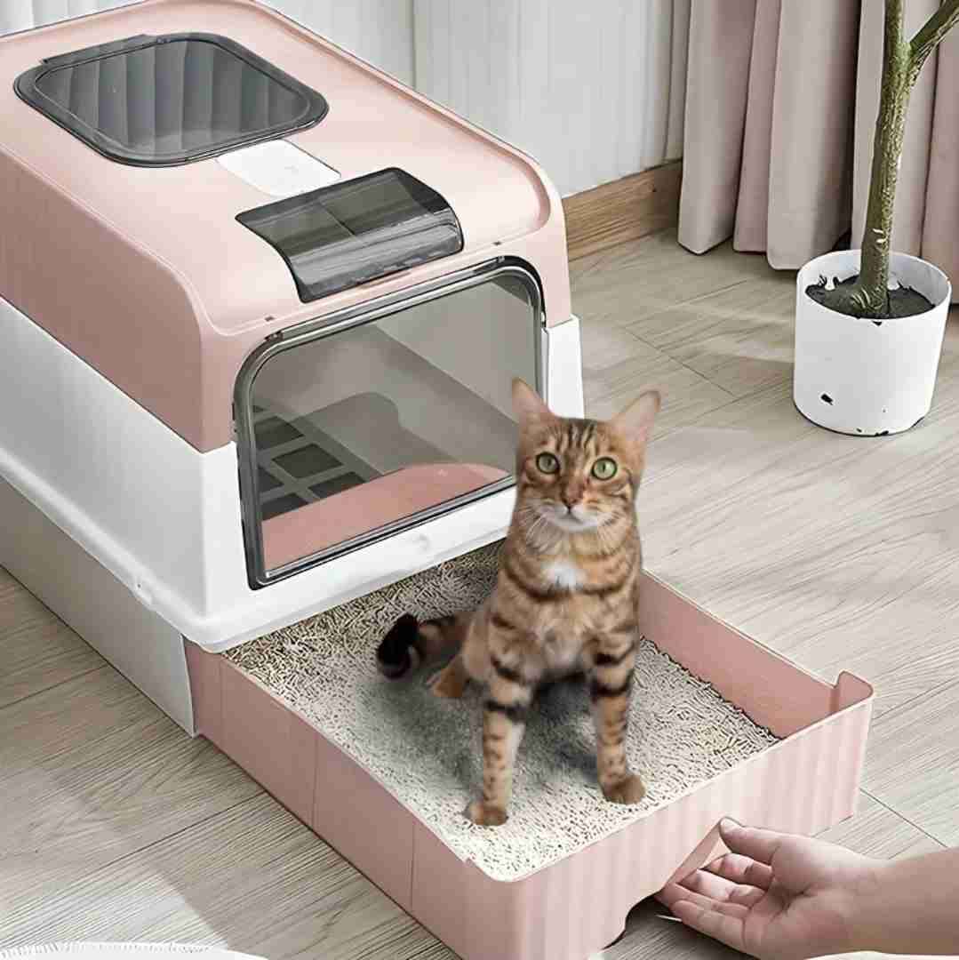 Caja de arena para gatos - miniatura 2