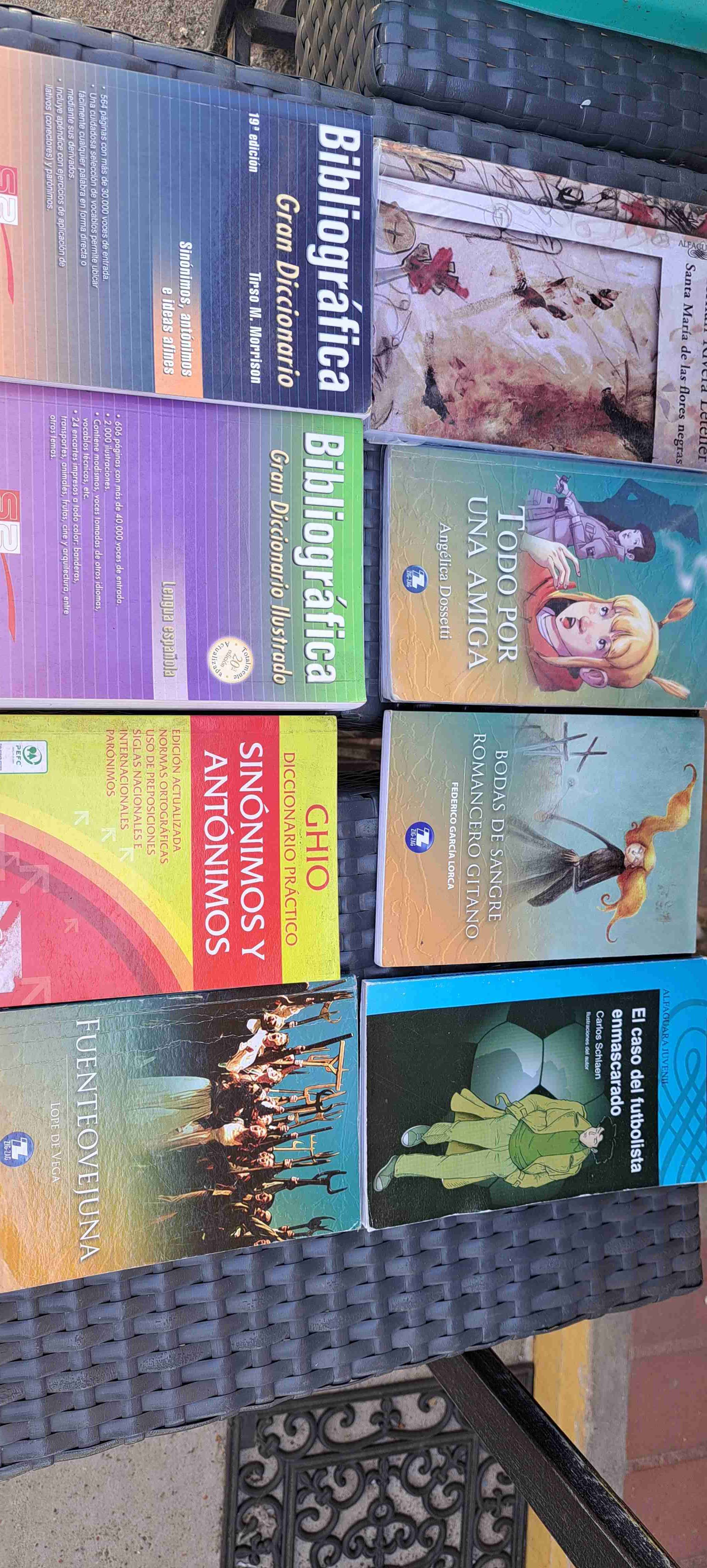 libros lectura complementaria - miniatura 2