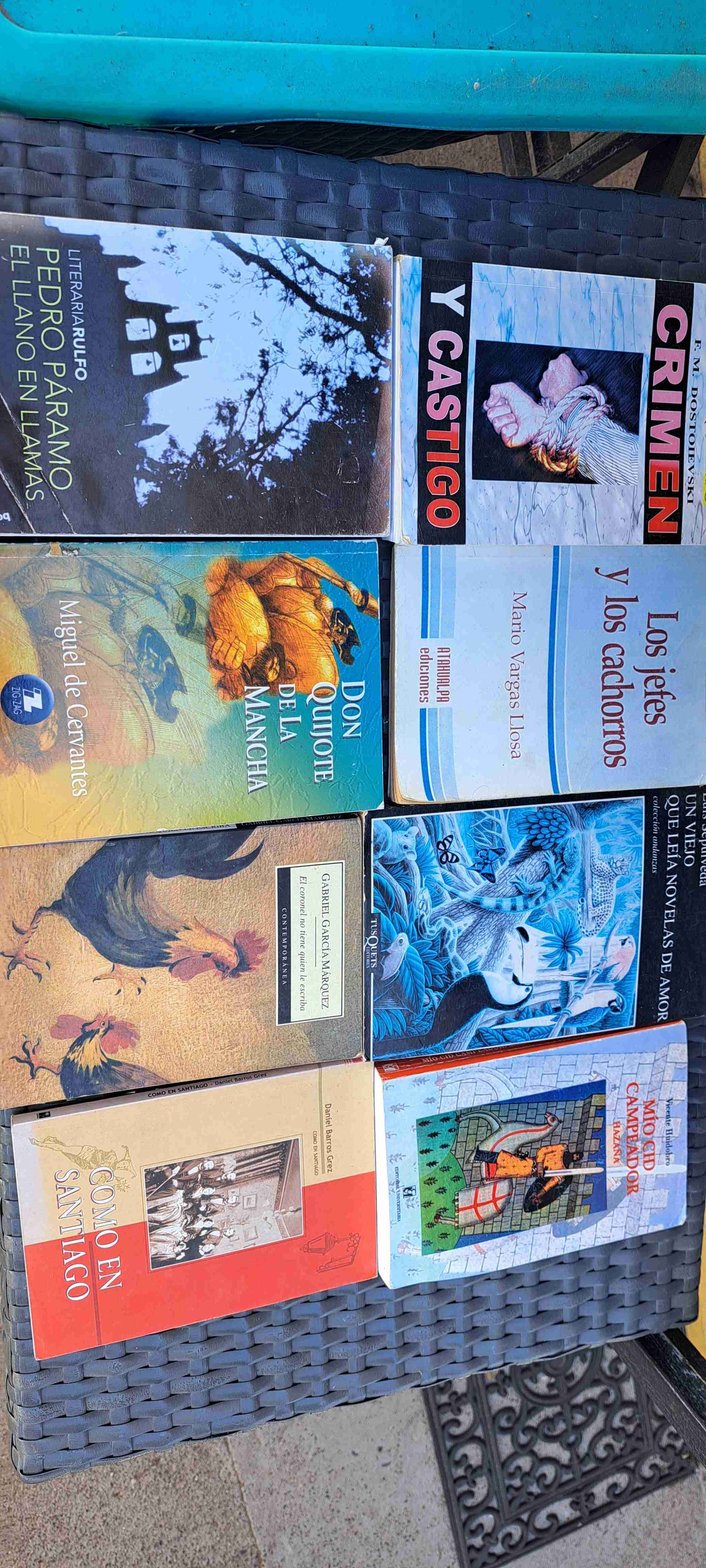 libros lectura complementaria - miniatura 4