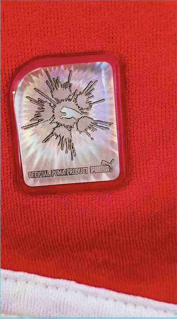 Camiseta de fútbol Selección Suiza marca Puma - miniatura 3