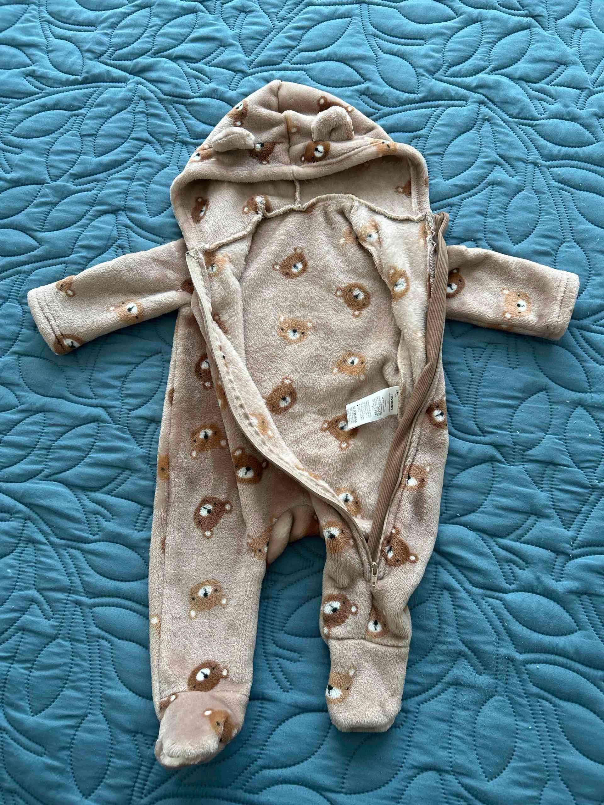 Enterito polar - miniatura 2