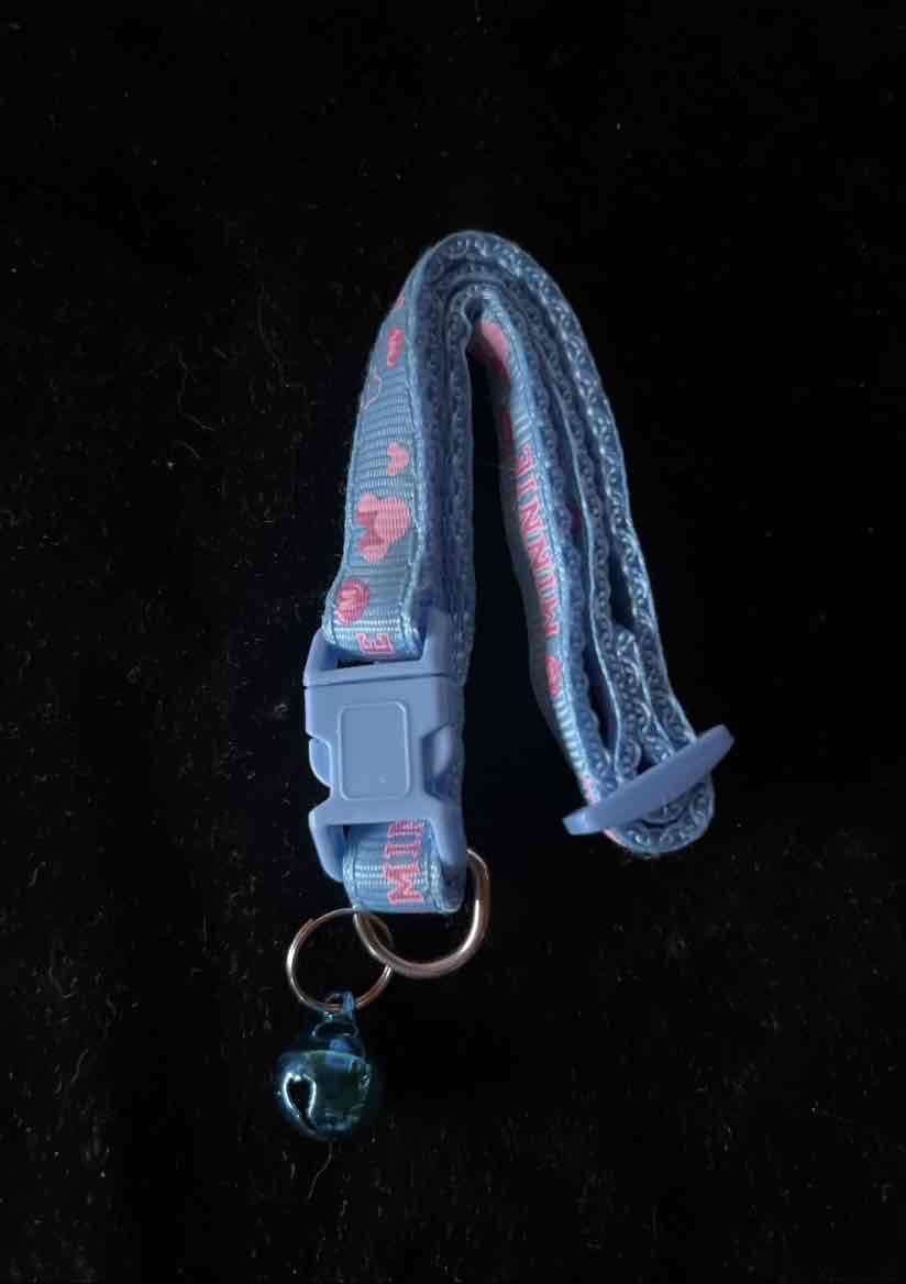 Collar azul para gato