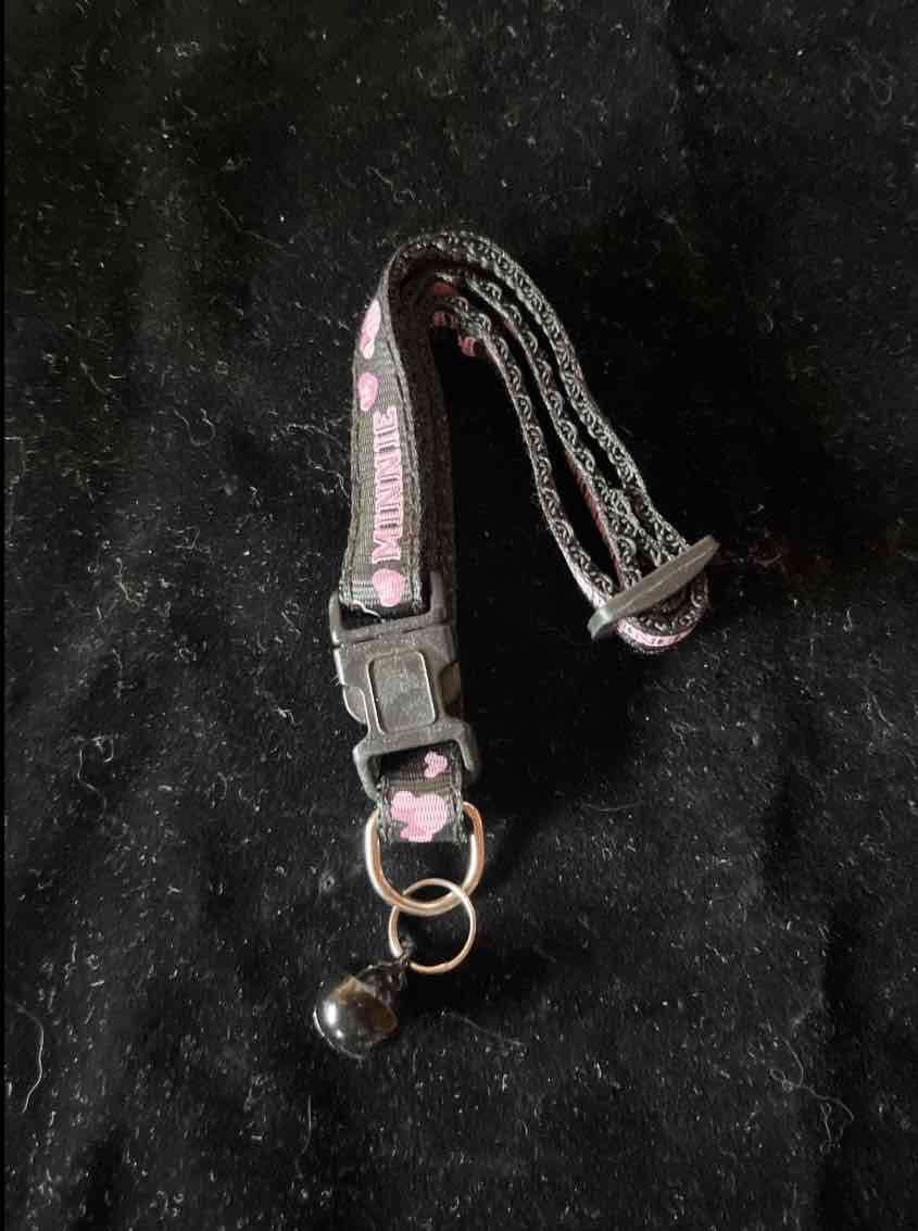 Collar para gato con campanita