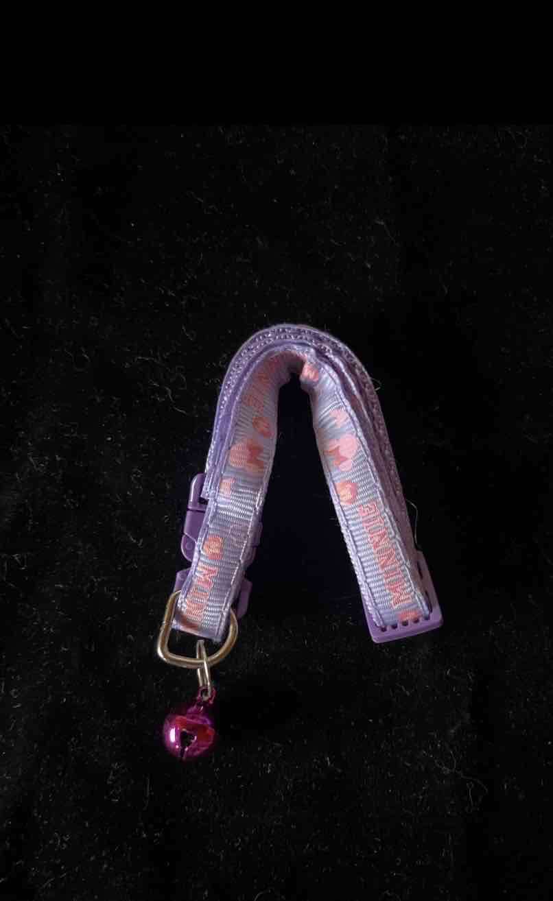 Collar morado para gato