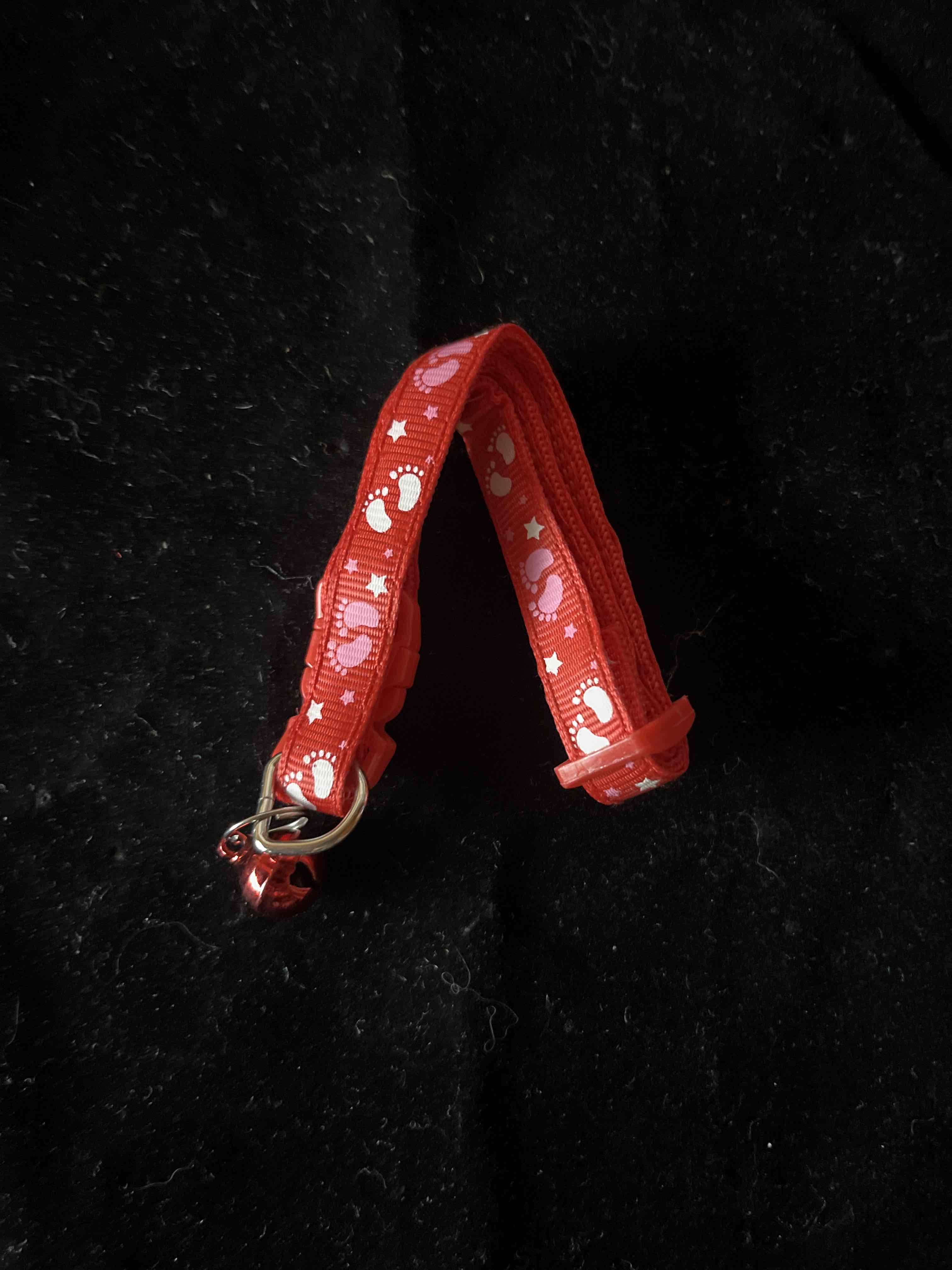 Collar rojo para gato