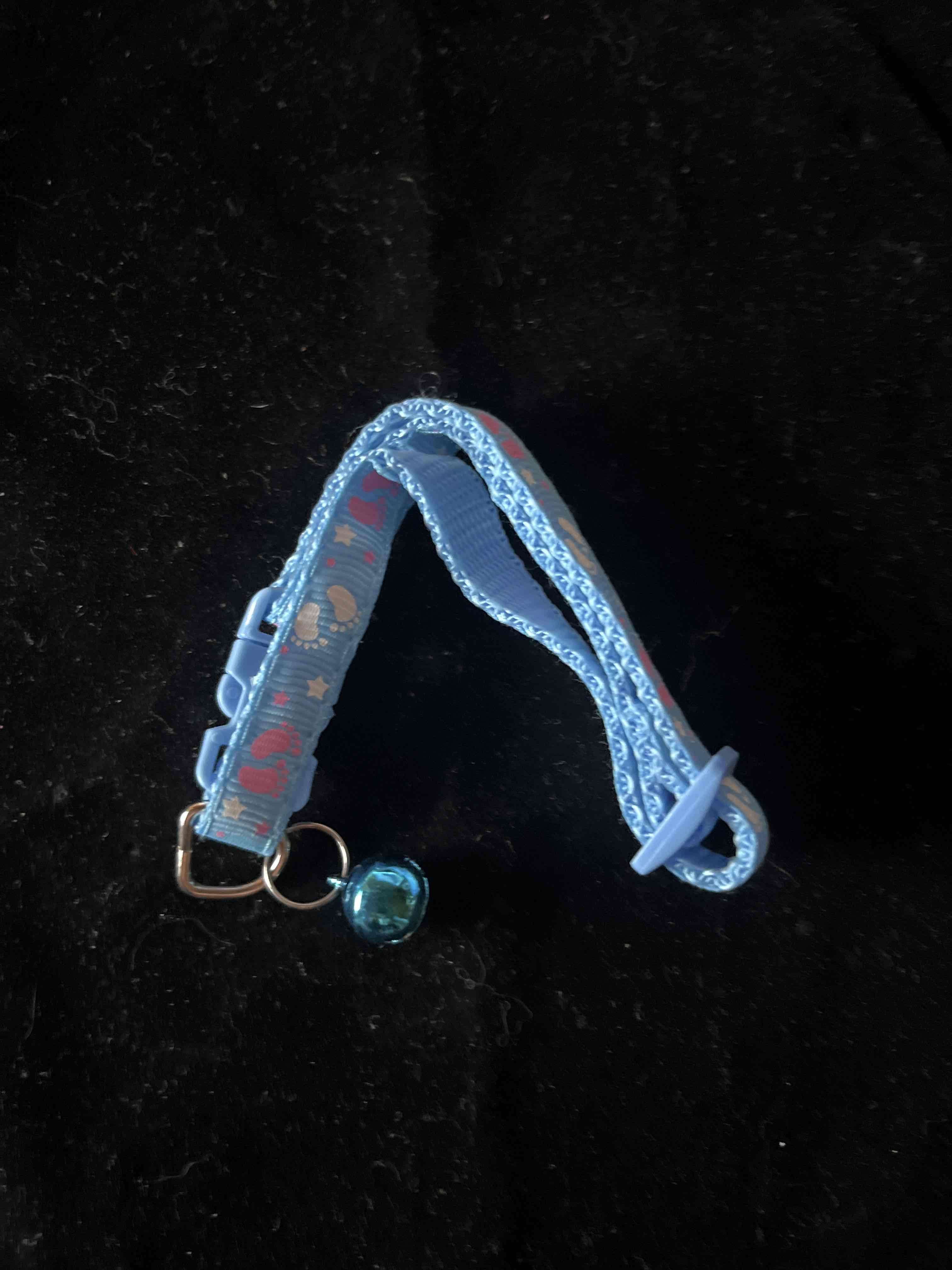 Collar azul para gato con campana