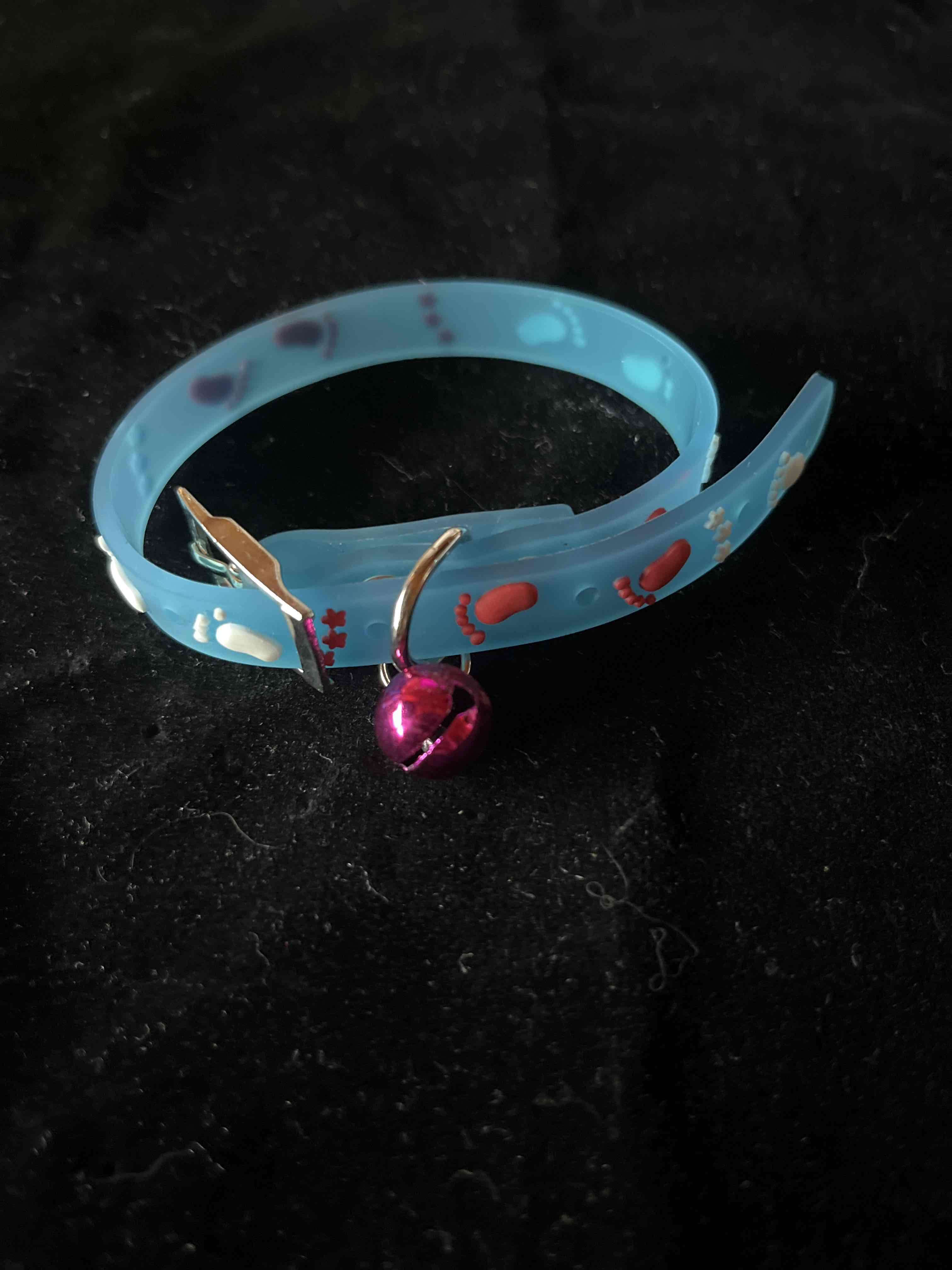 Collar para Gato Azul con Campana