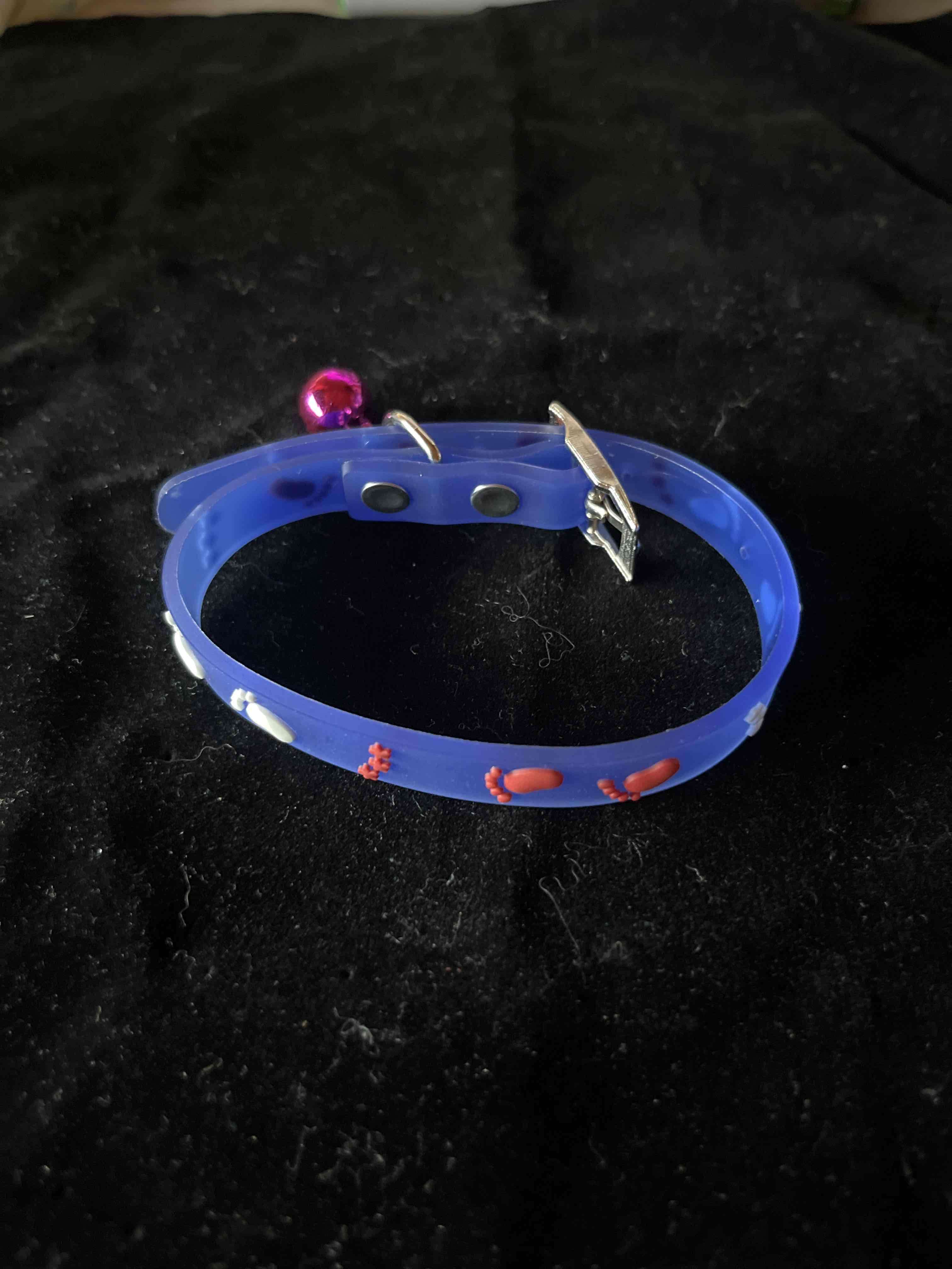 Collar azul para gato con campana