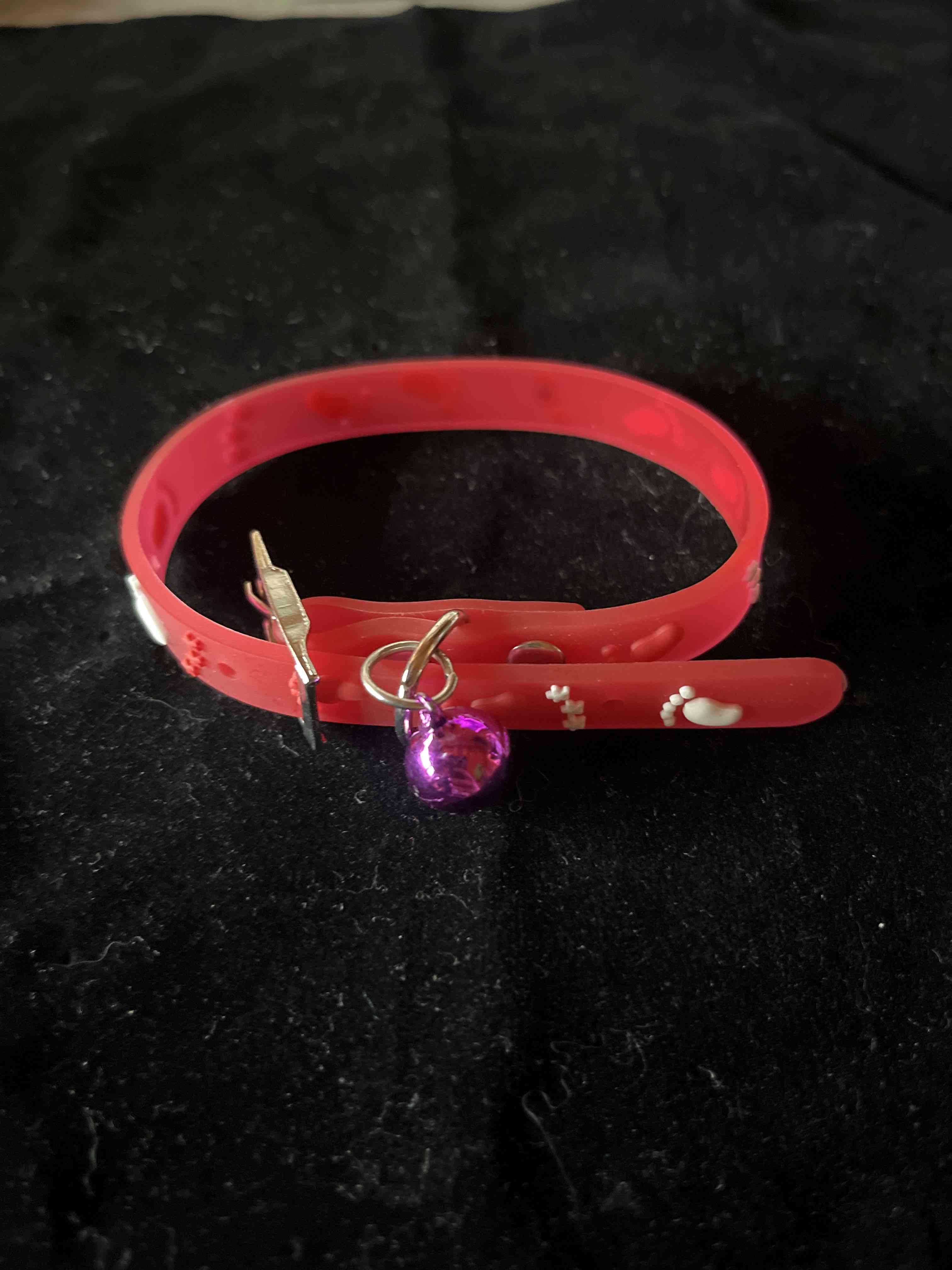 Collar para gato con campana