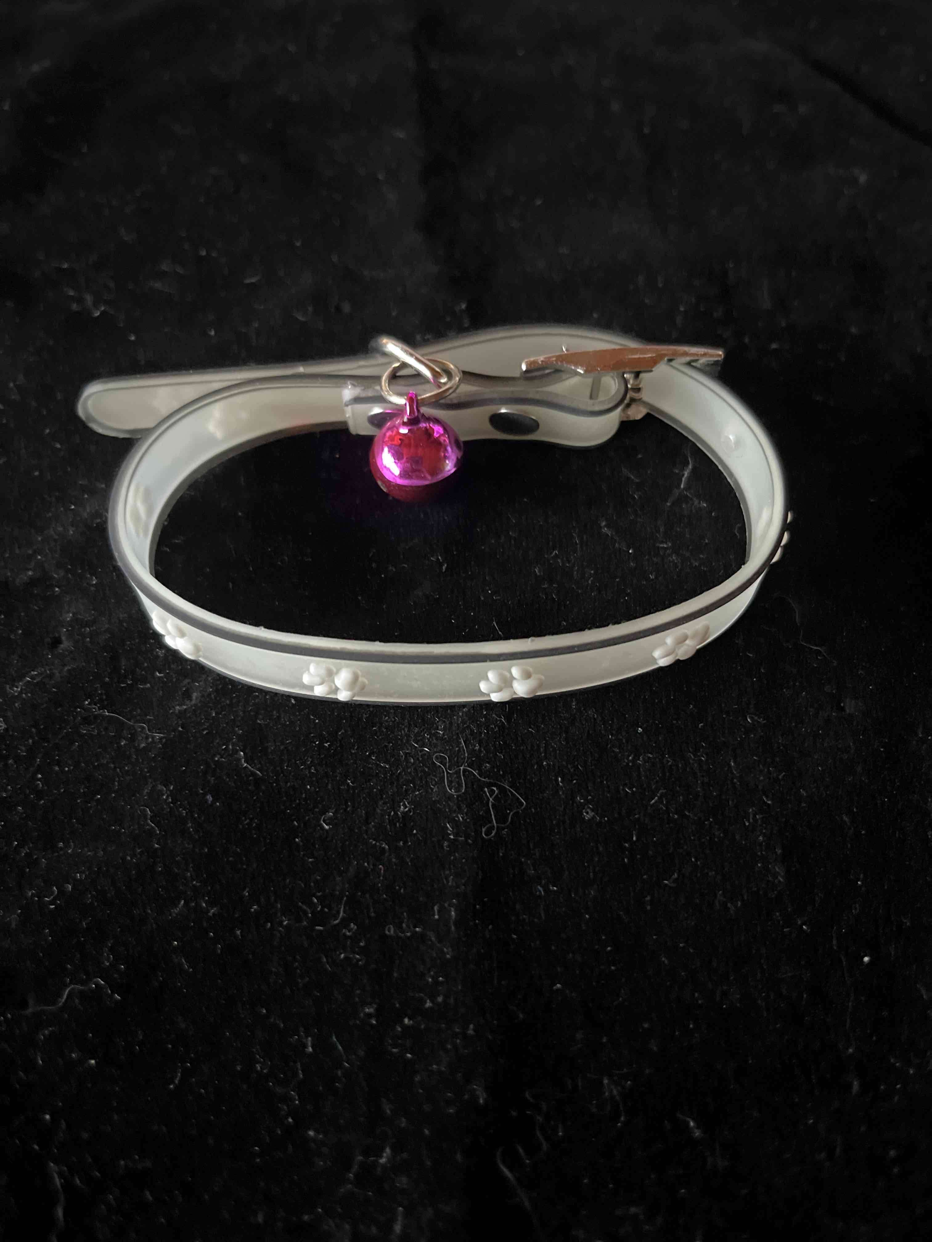 Collar blanco para mascota