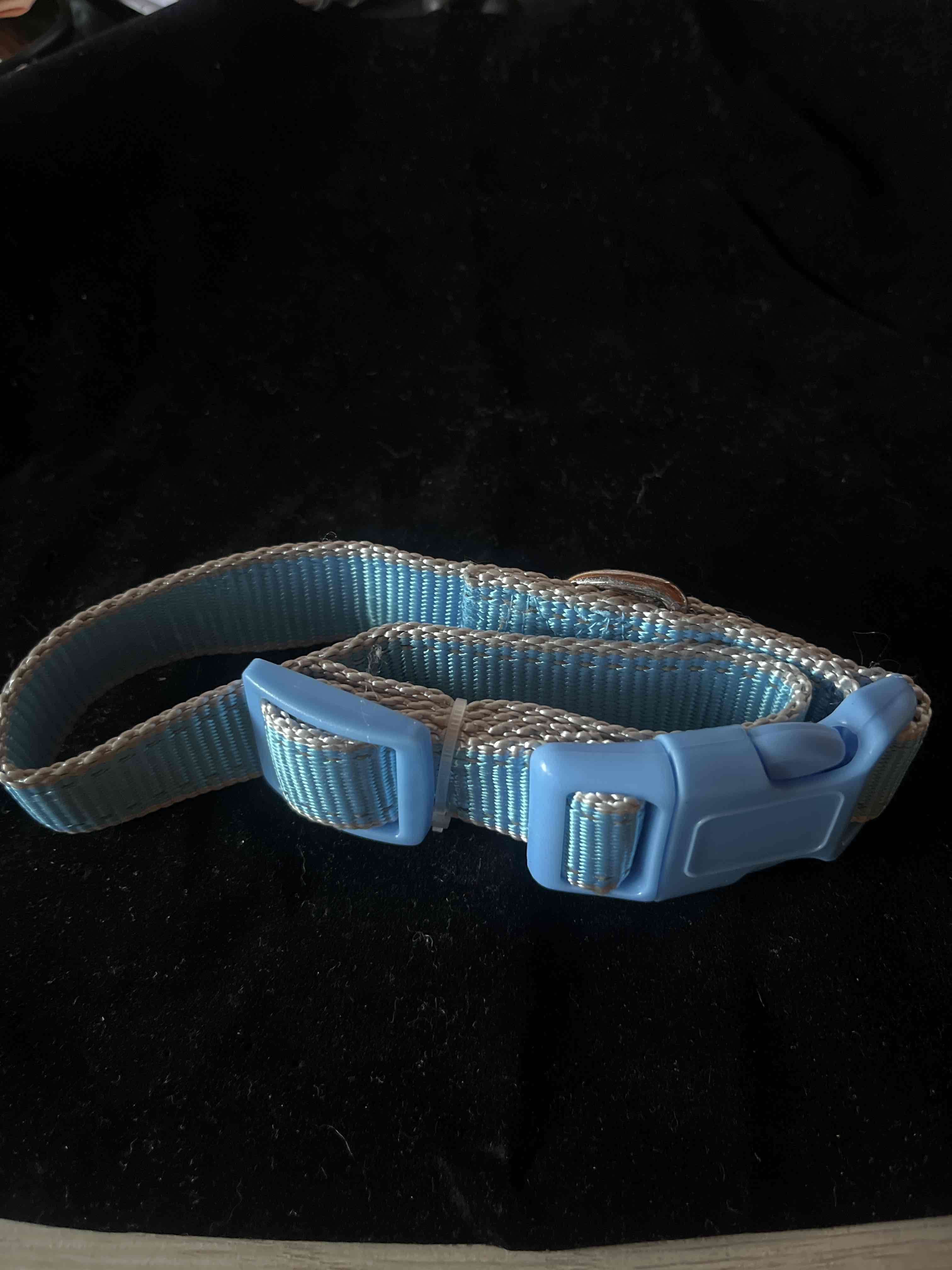 Collar azul para mascota