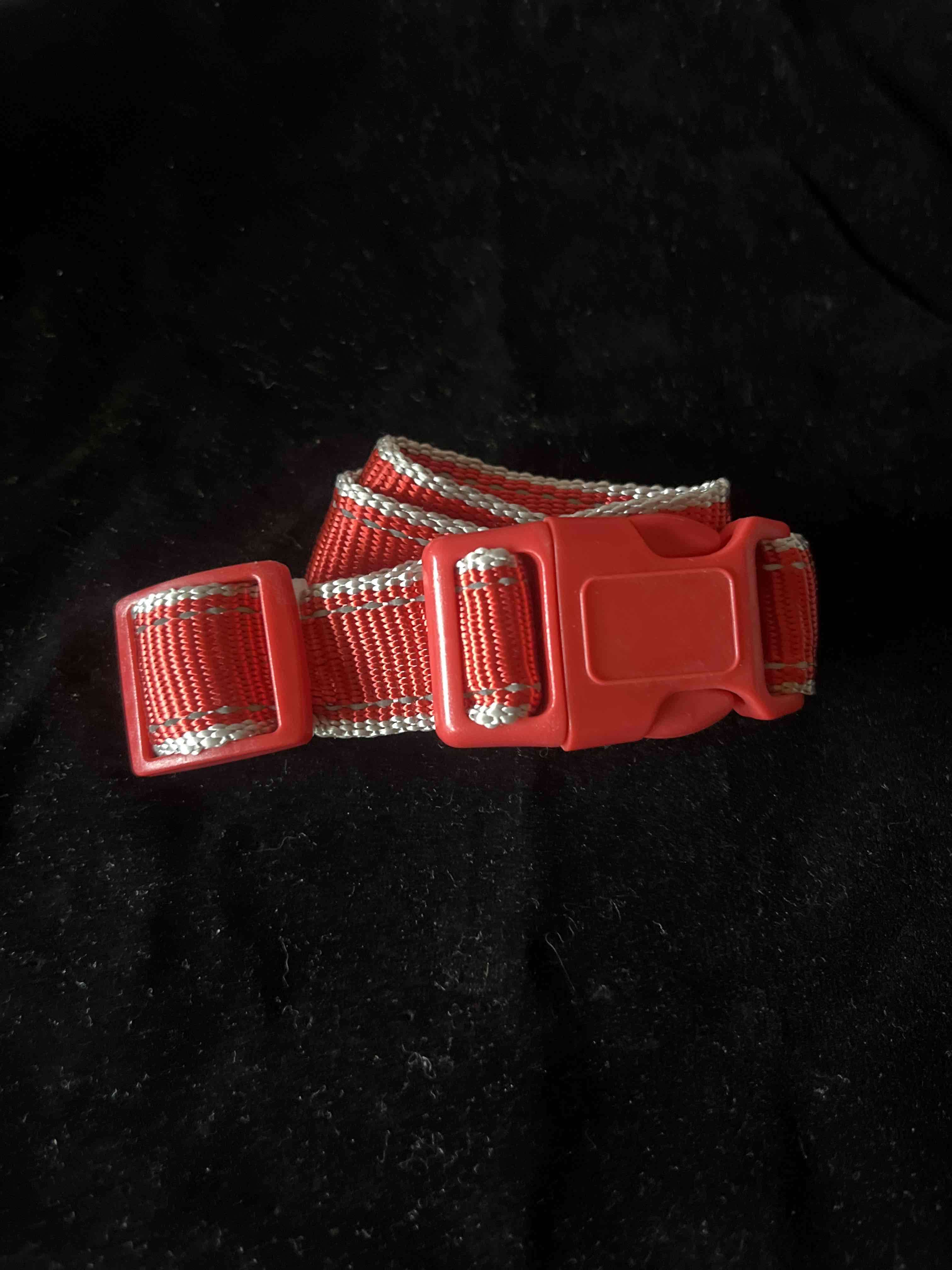 Collar rojo para perro