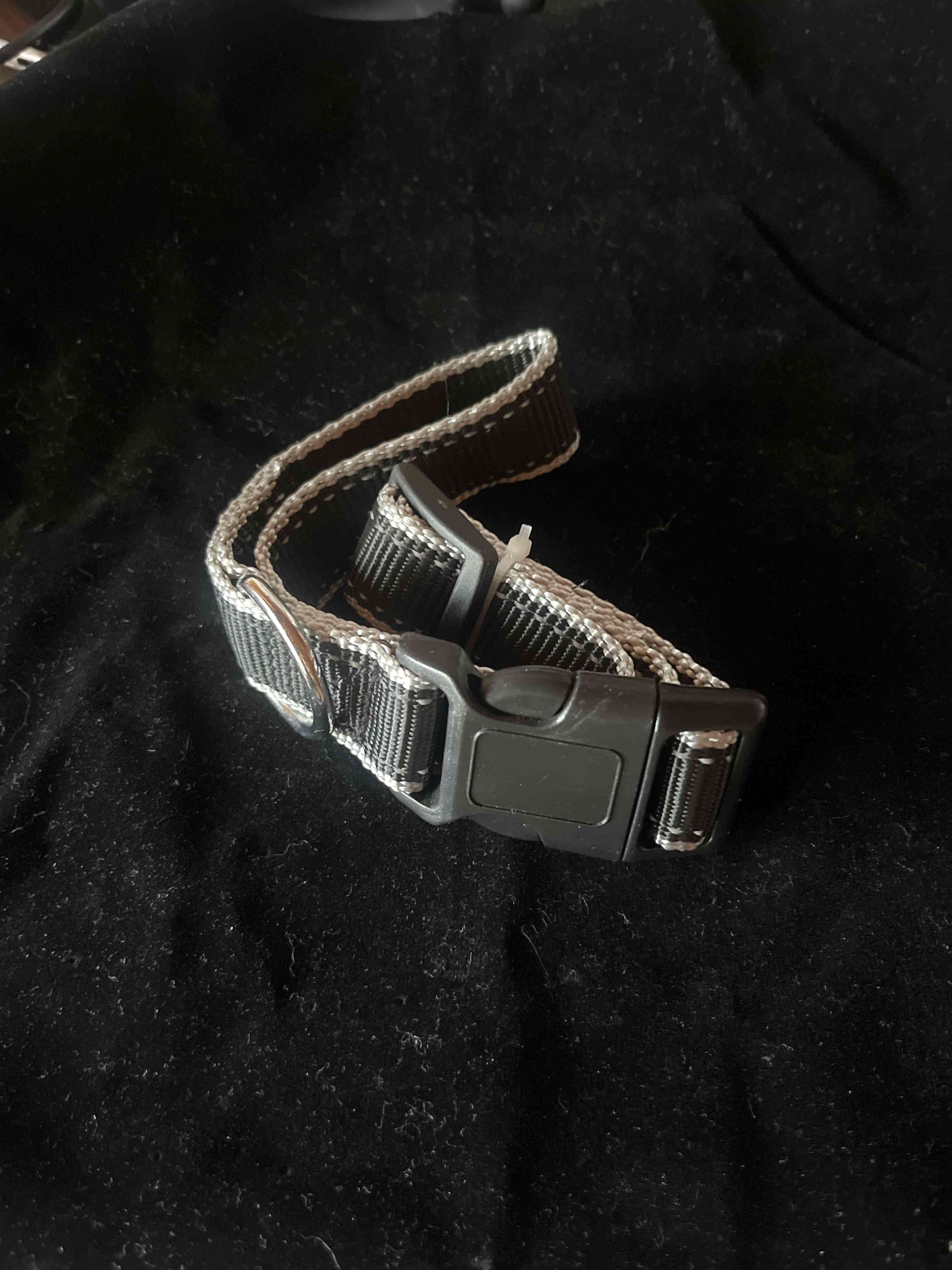 Collar ajustable para mascota