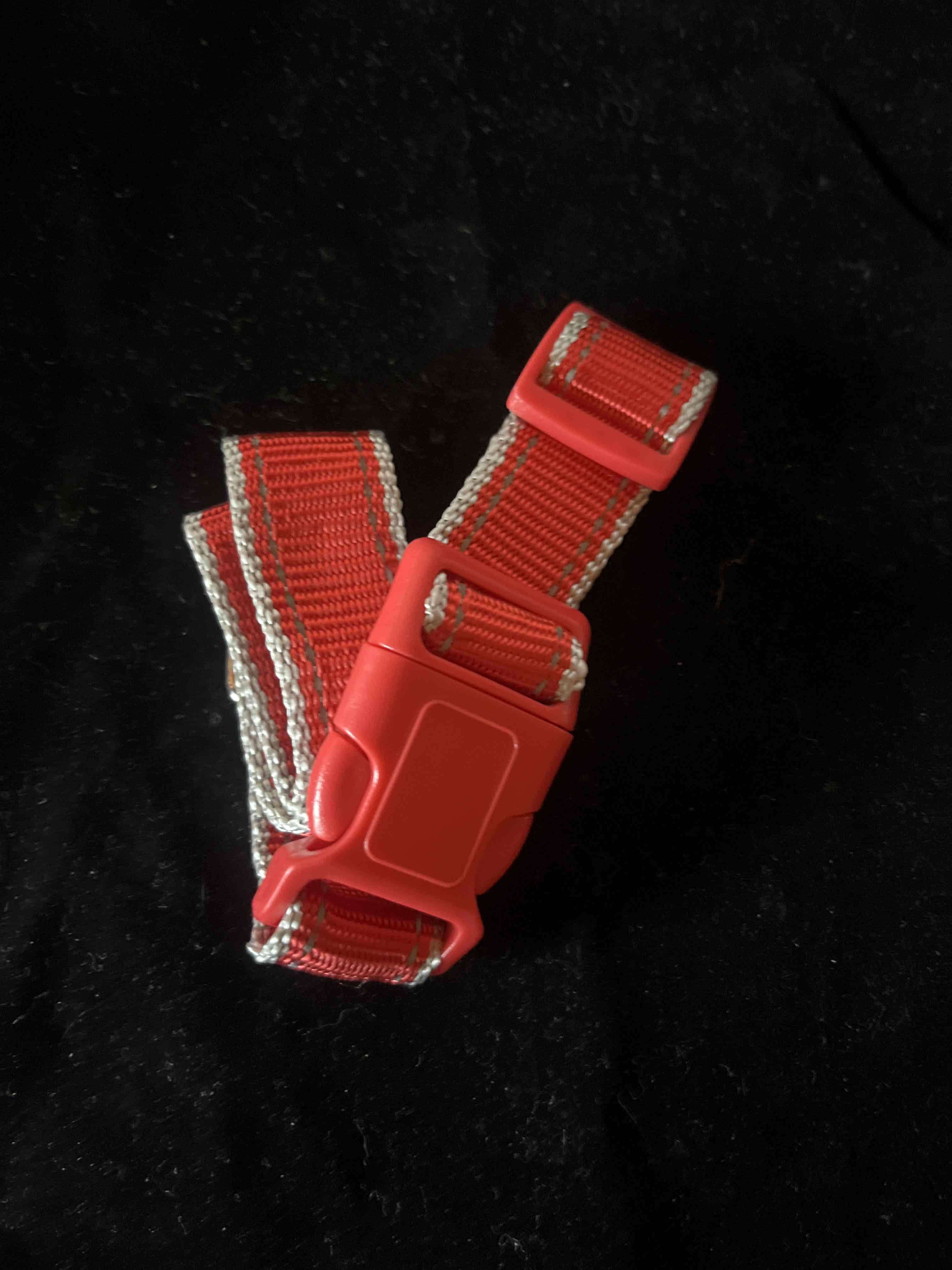 Correa ajustable roja para mascotas