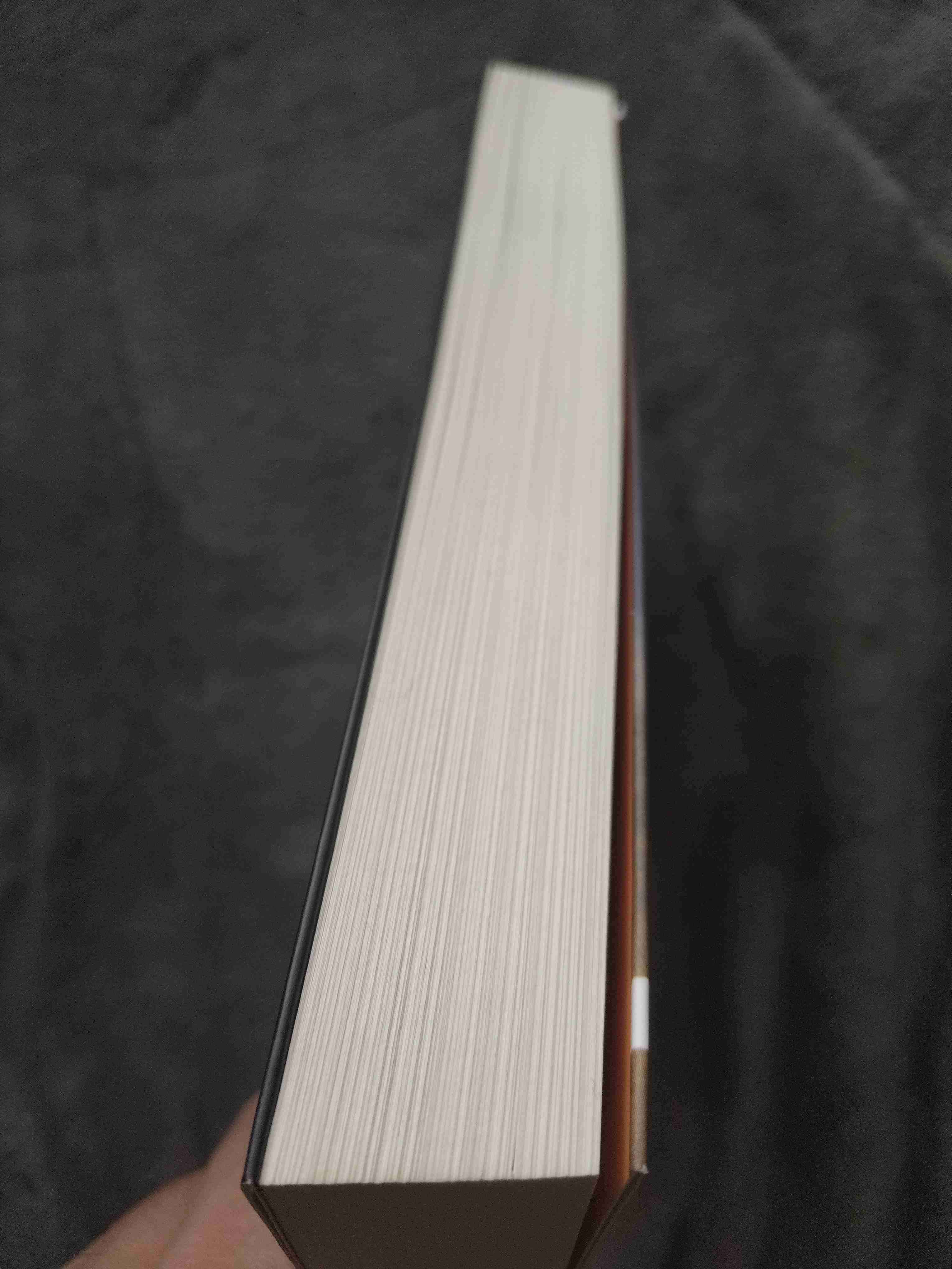 Libro El Rey Oscuro C.S. Pacat - miniatura 3