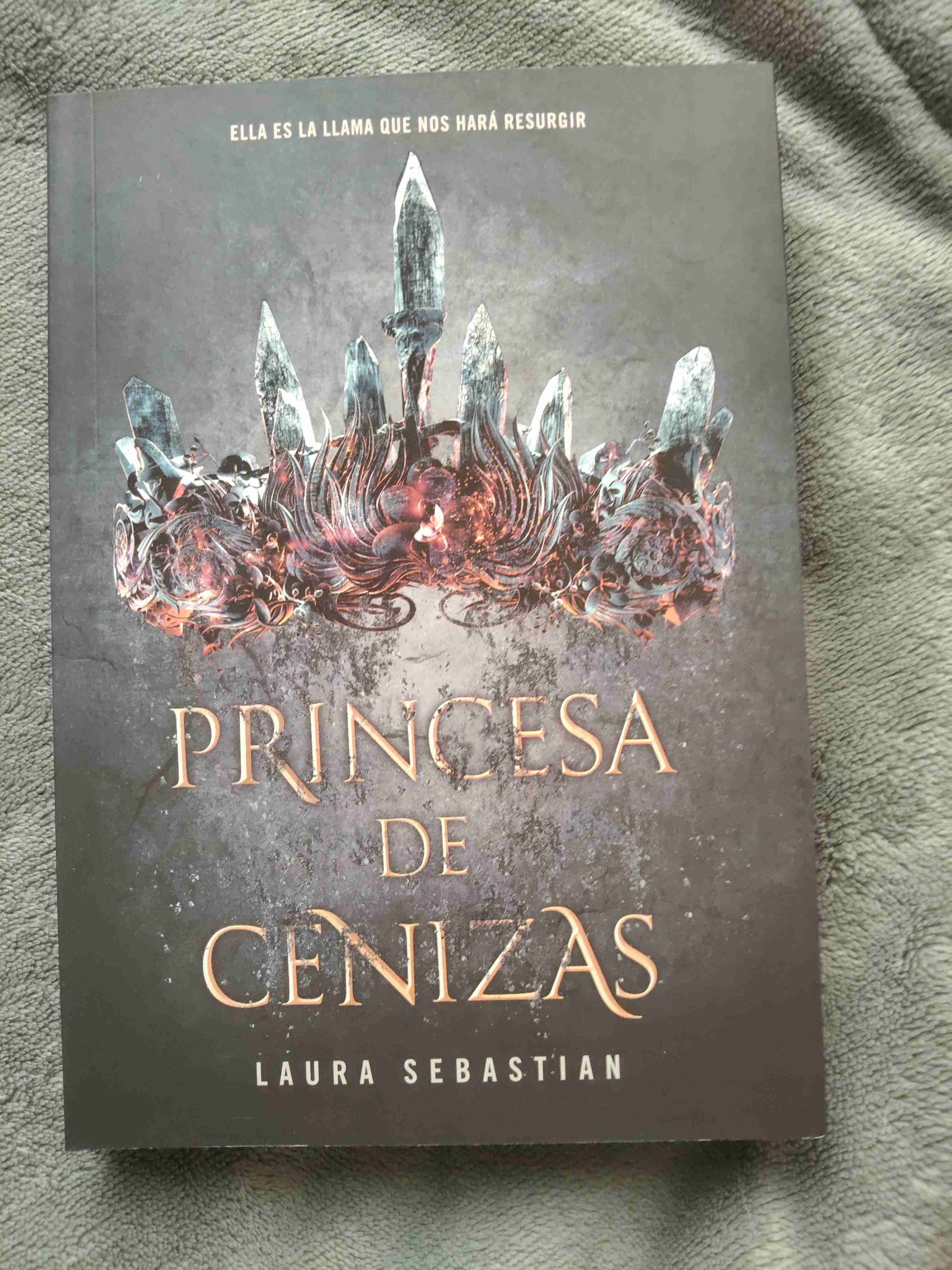 Libro Princesa de Cenizas