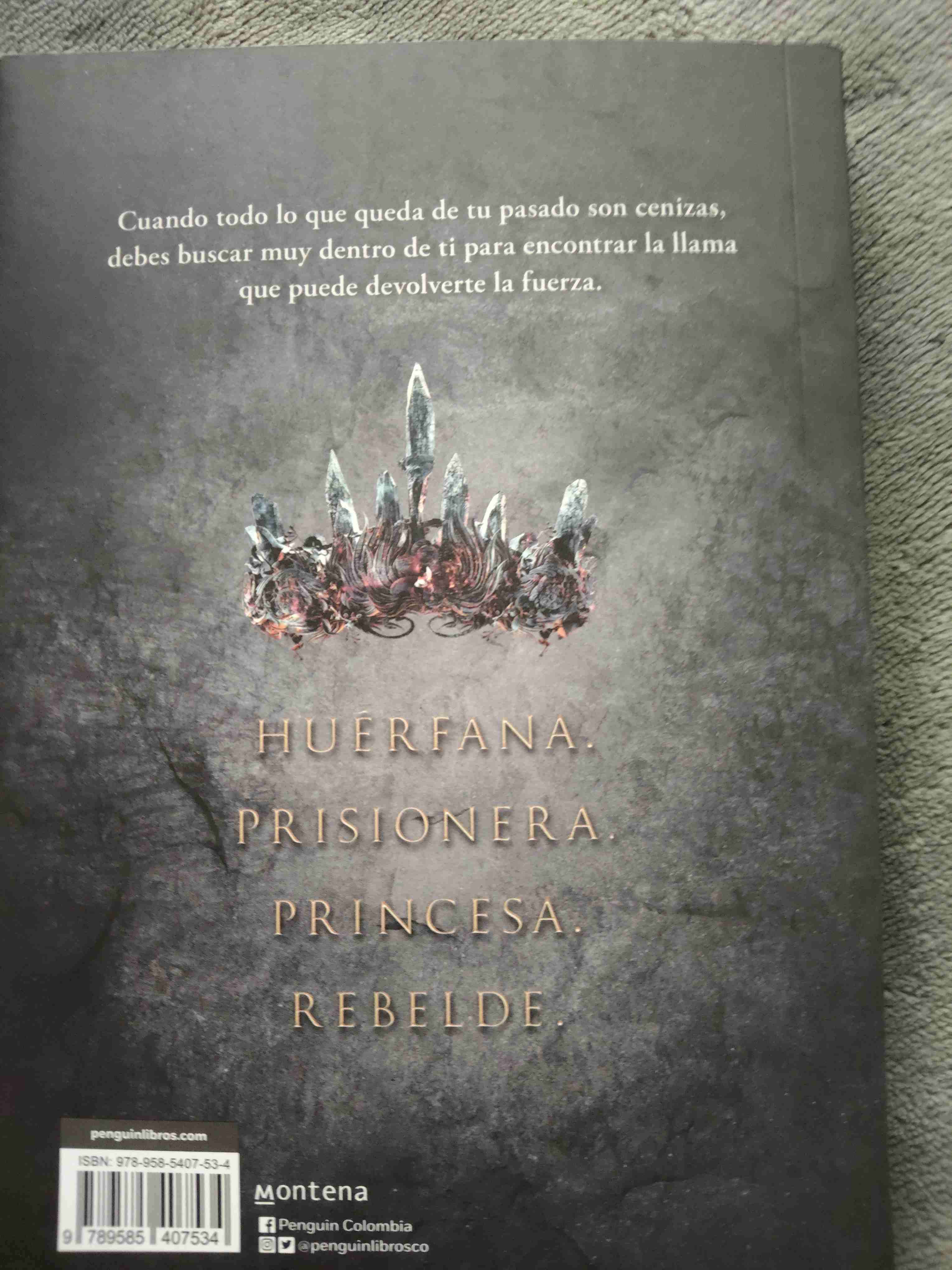 Libro Princesa de Cenizas - miniatura 2