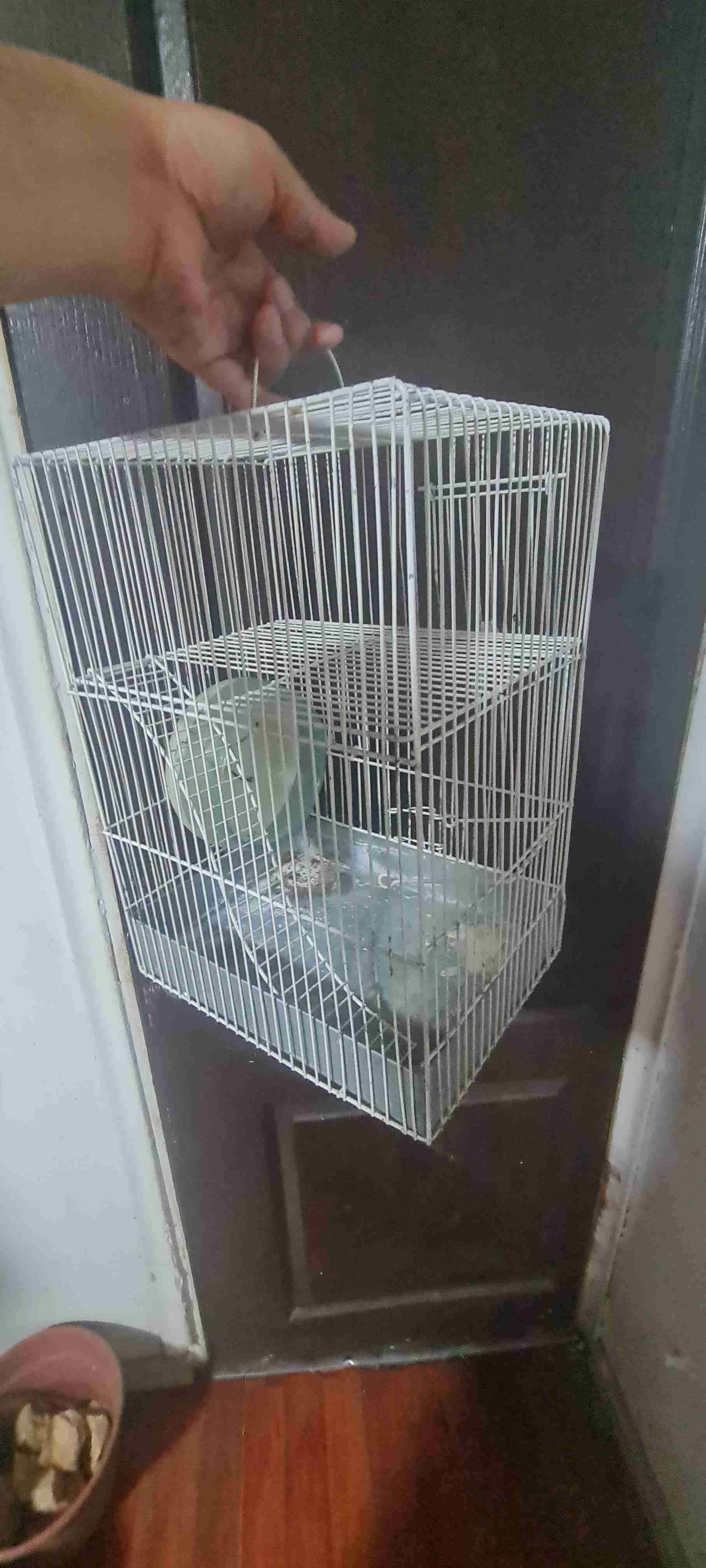 Jaula para pájaros blanca