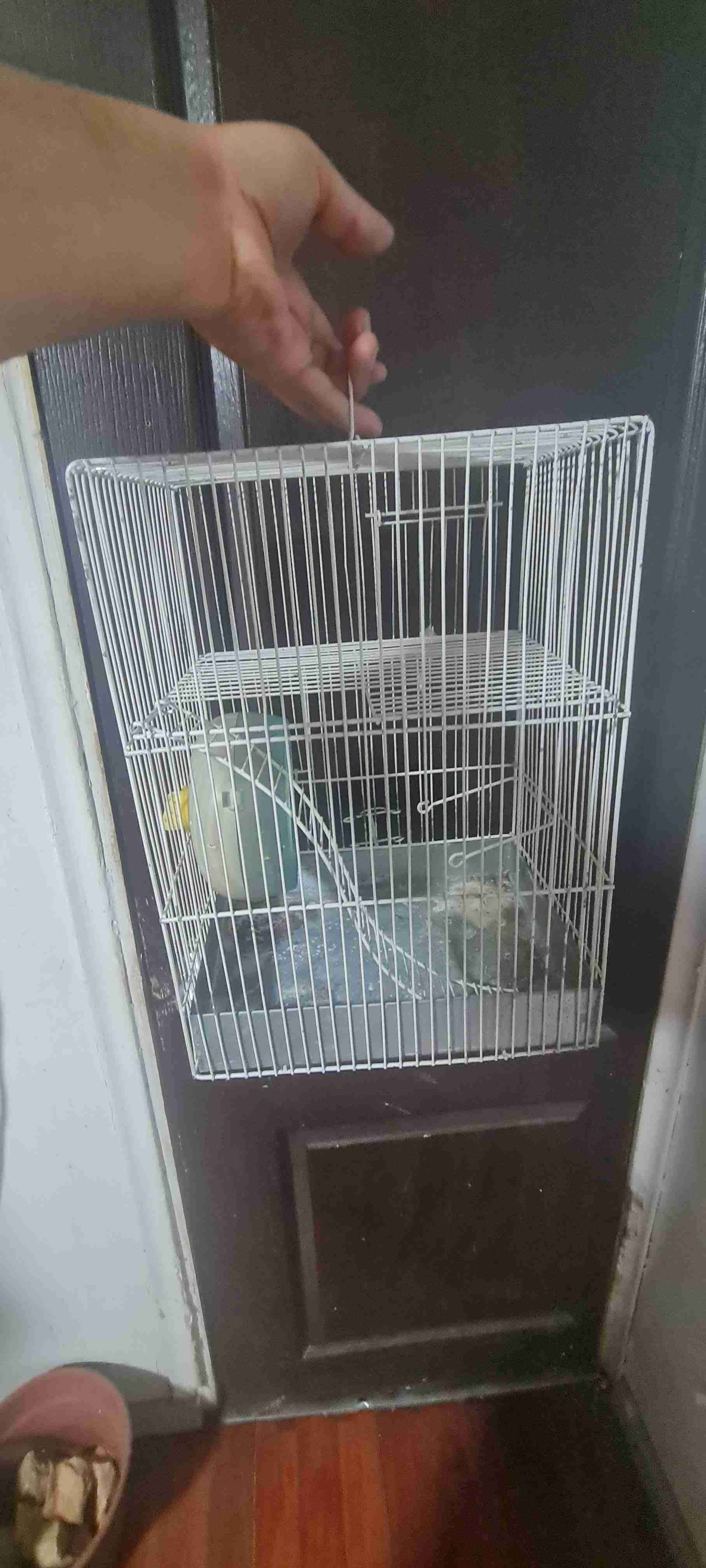 Jaula para pájaros blanca - miniatura 2