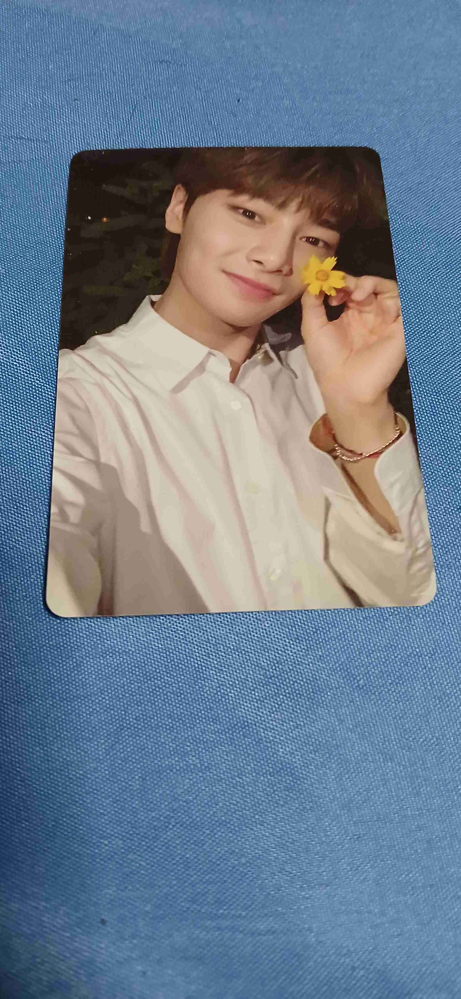 Tarjeta fotográfica decorativa de colección