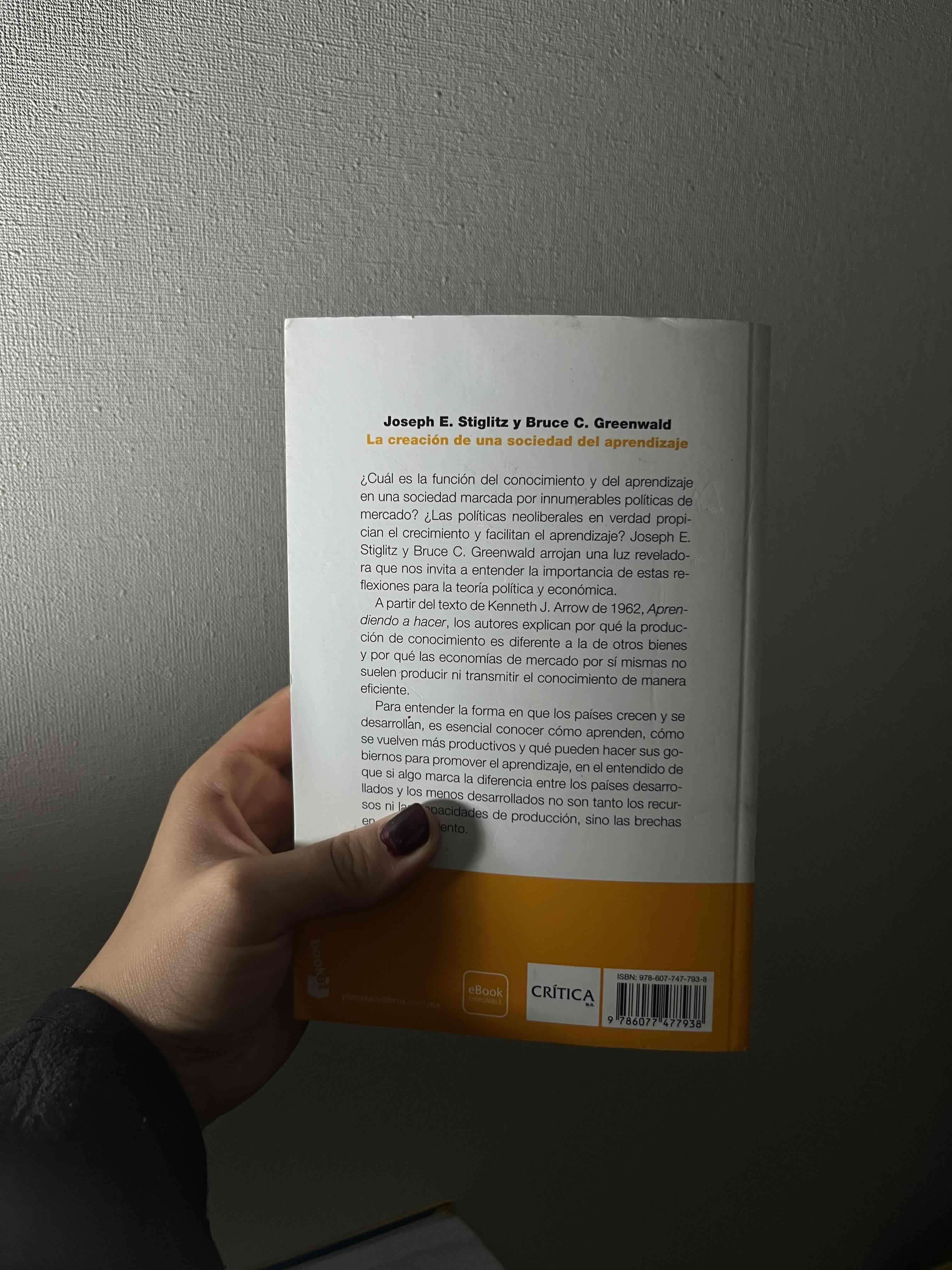 Libro 'La creación de una sociedad del aprendizaje' - miniatura 2