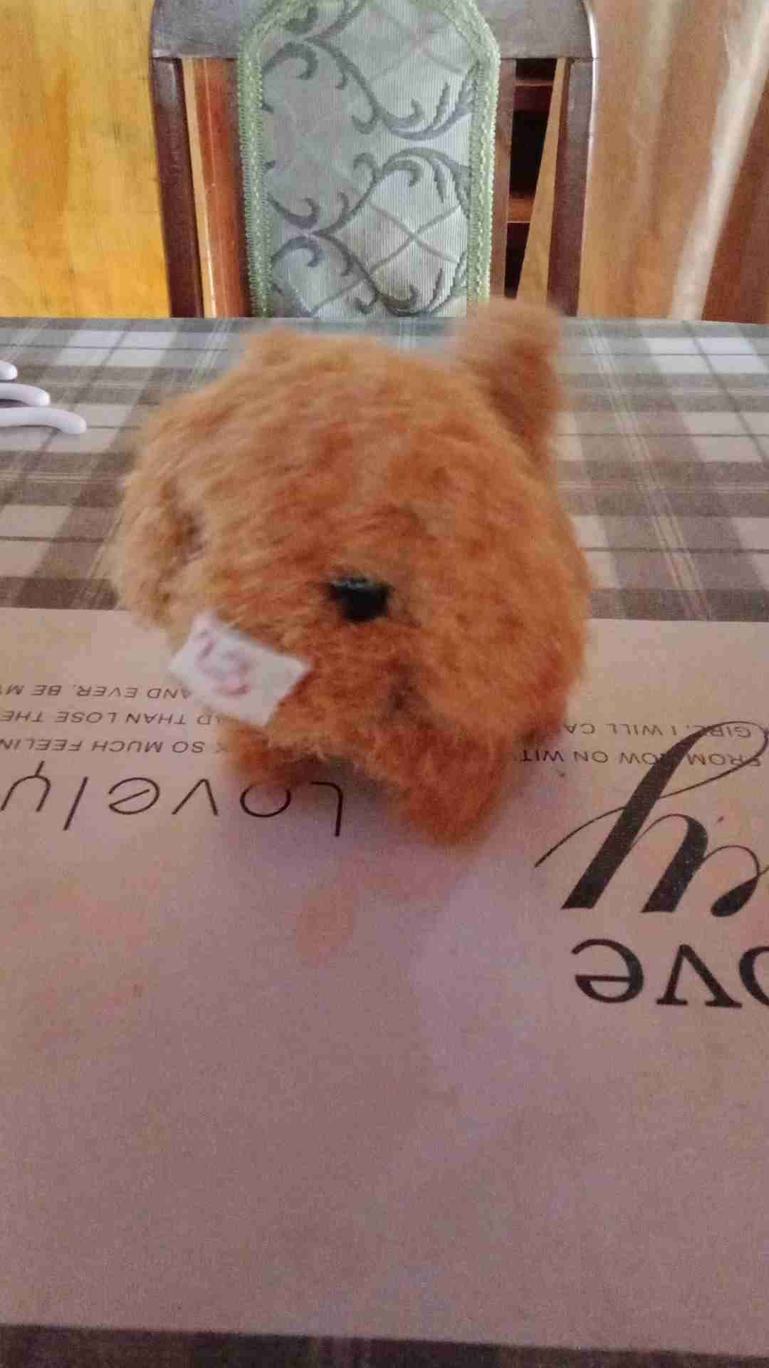 Tierna llama de peluche morada - miniatura 5