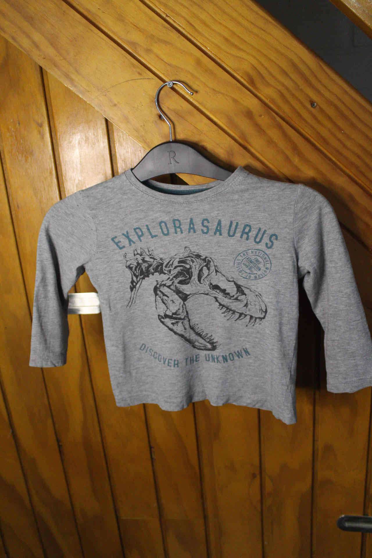 Polera gris manga larga niño