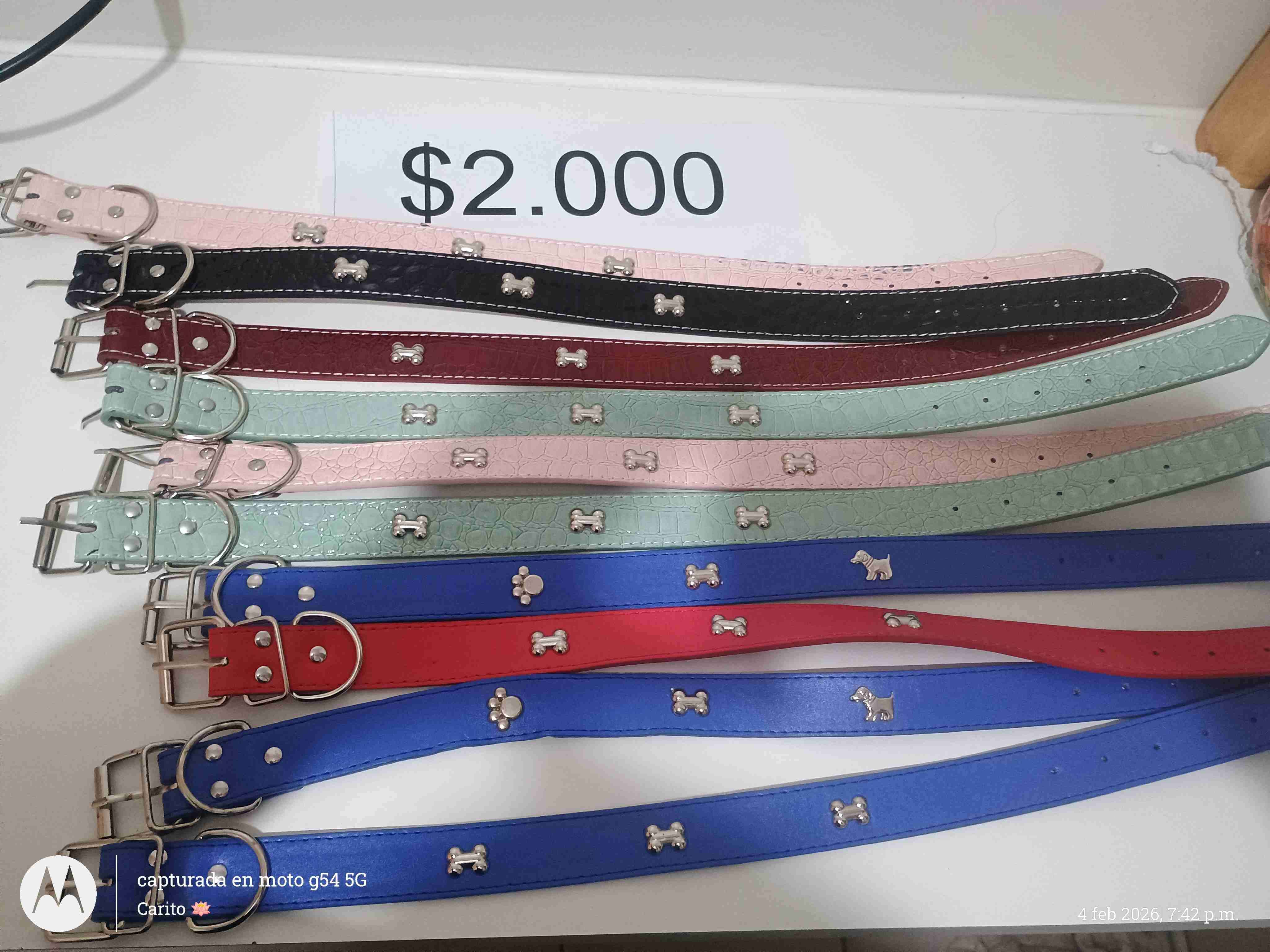 Artículos para mascotas - miniatura 2