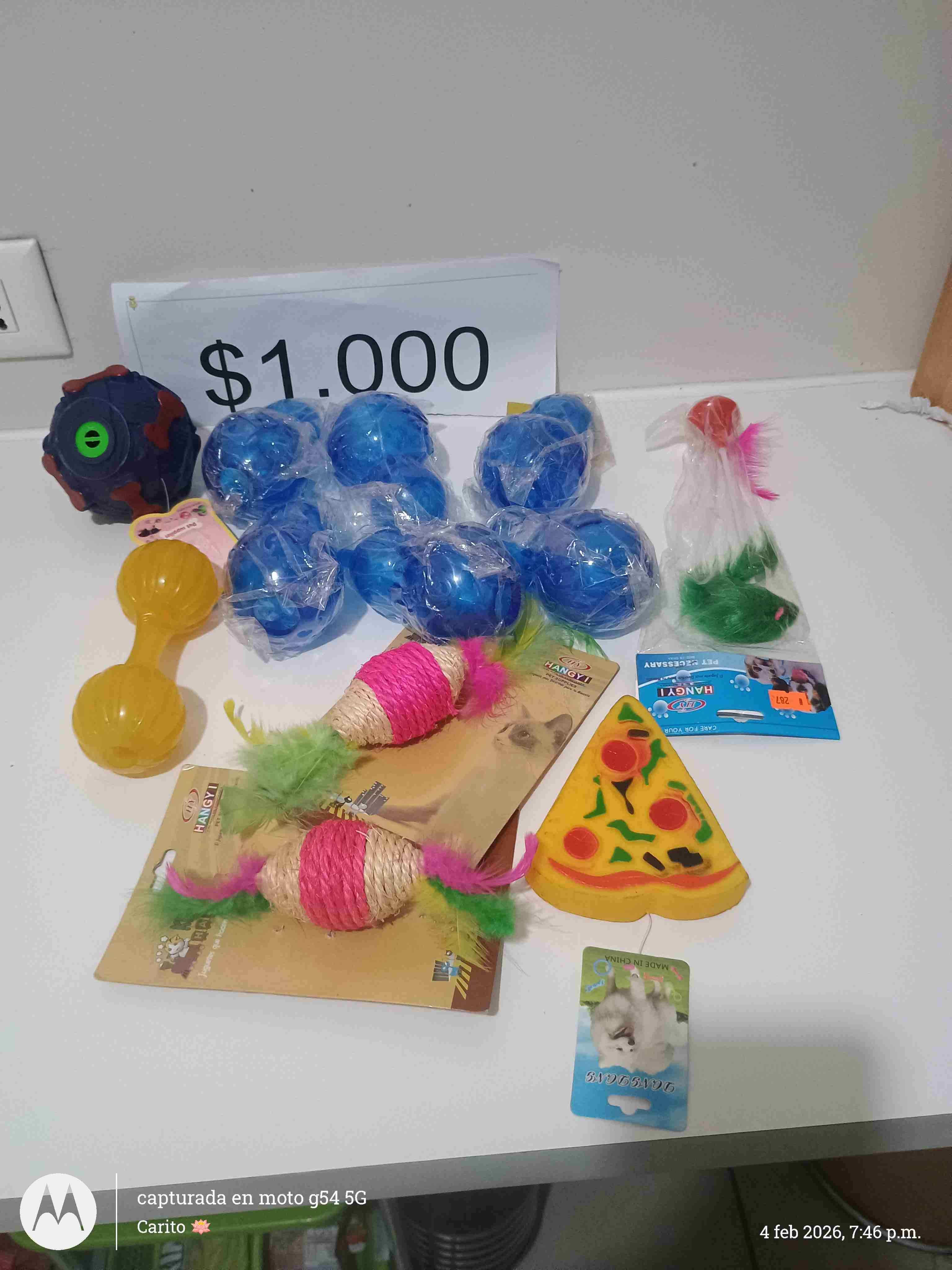 Artículos para mascotas - miniatura 5