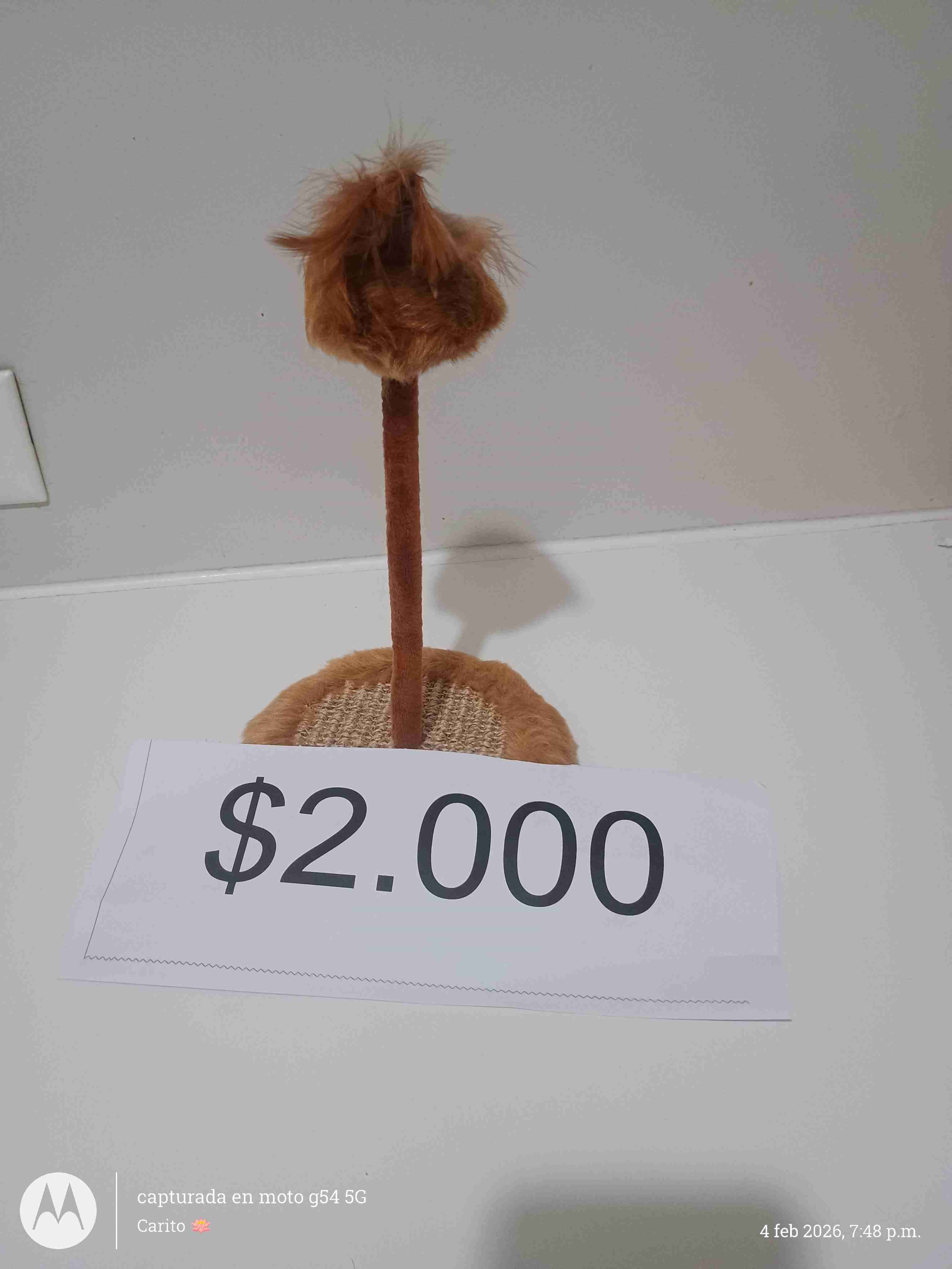 Artículos para mascotas - miniatura 6