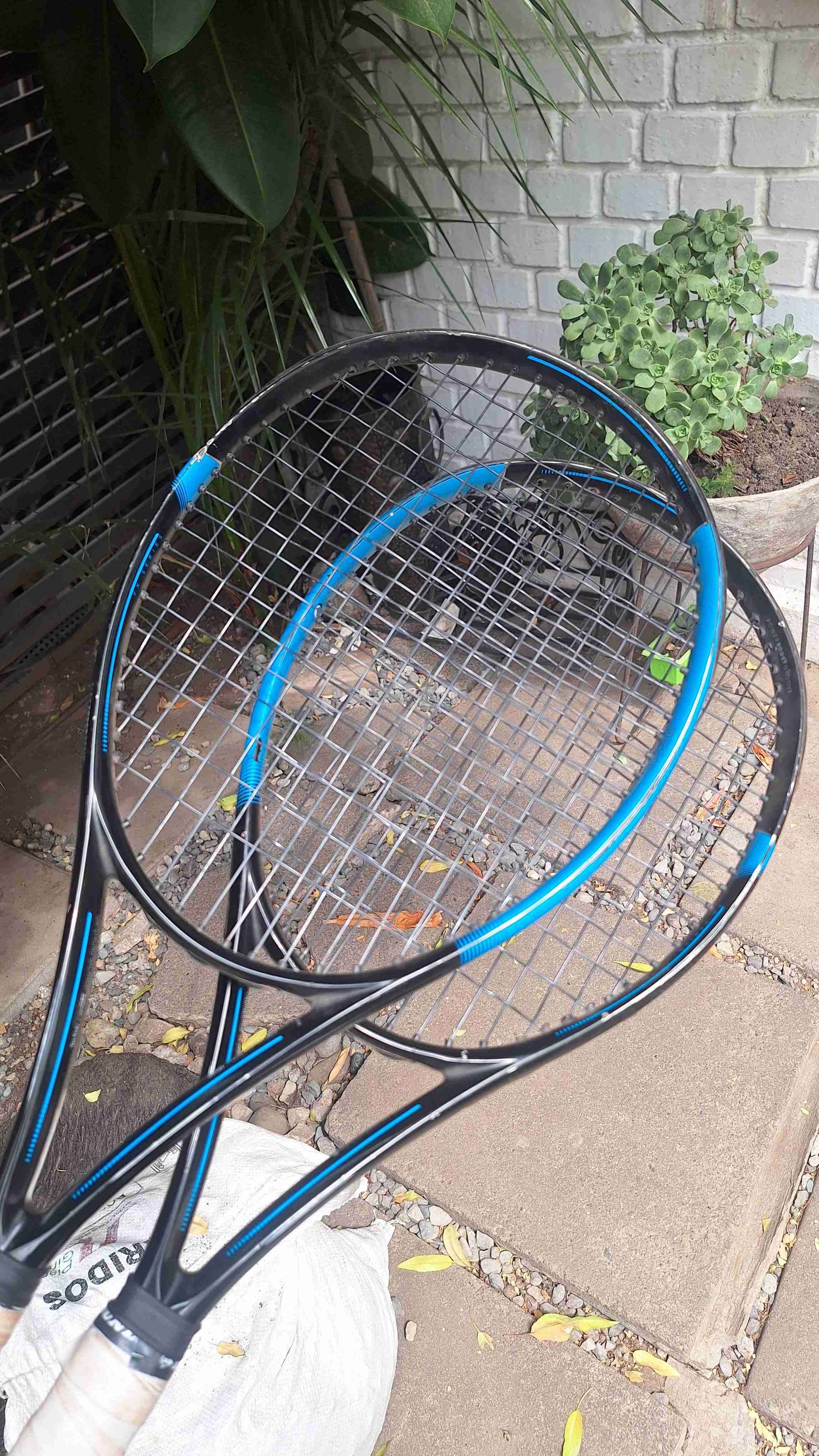 Raquetas de tenis FX 500 - miniatura 3