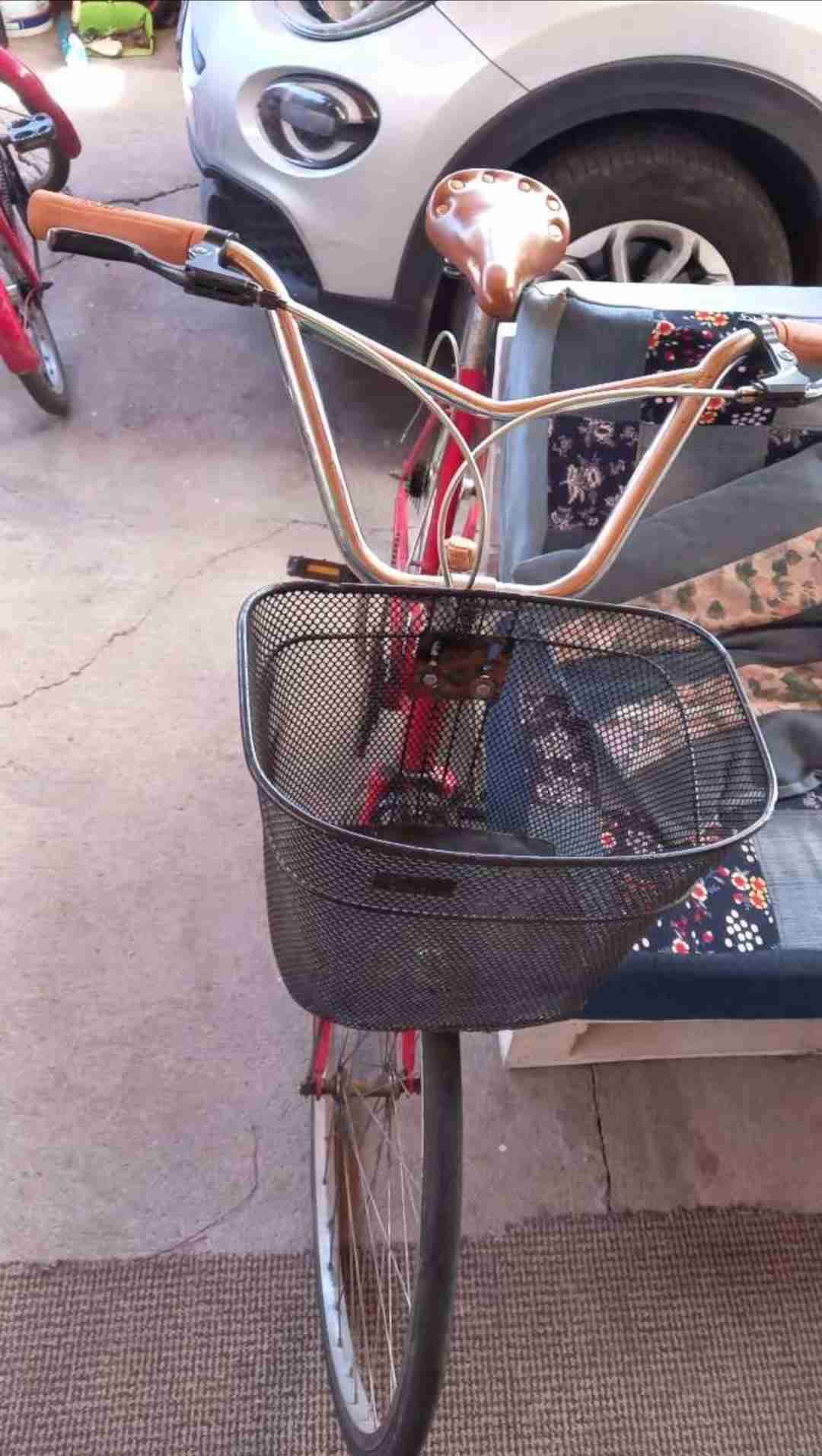 Bicicleta vintage con canasto
