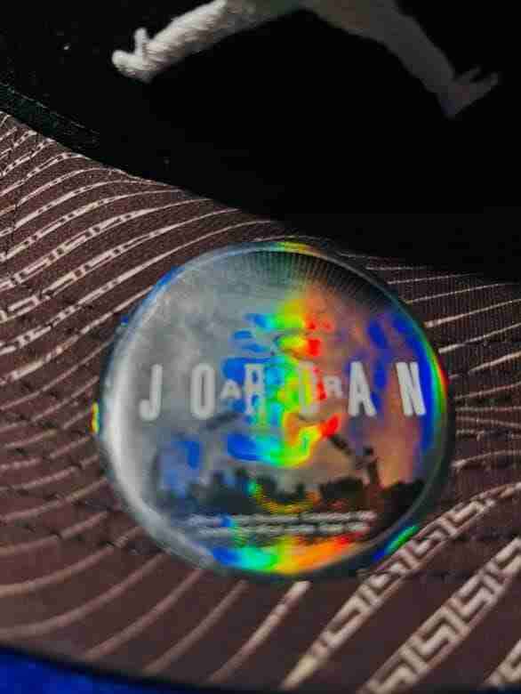 Jordan Snapback Retro 12 - miniatura 2