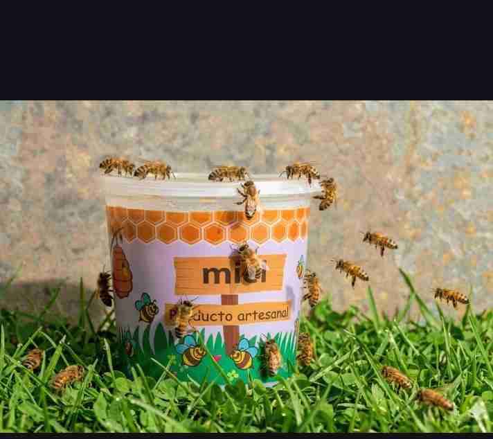 Miel artesanal en pote