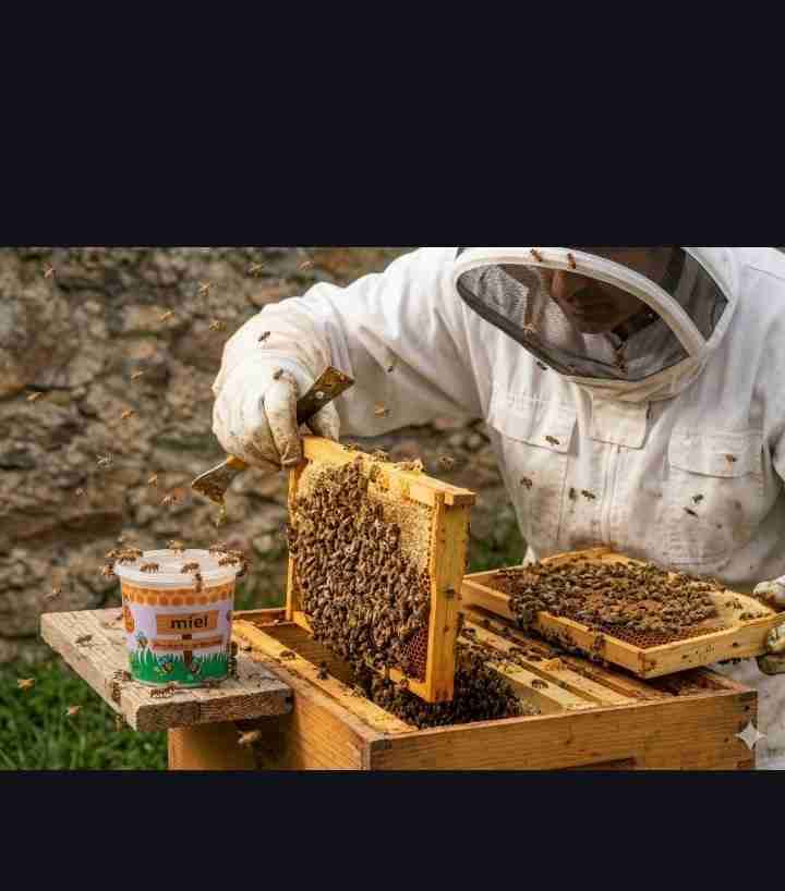 Miel artesanal en pote - miniatura 2