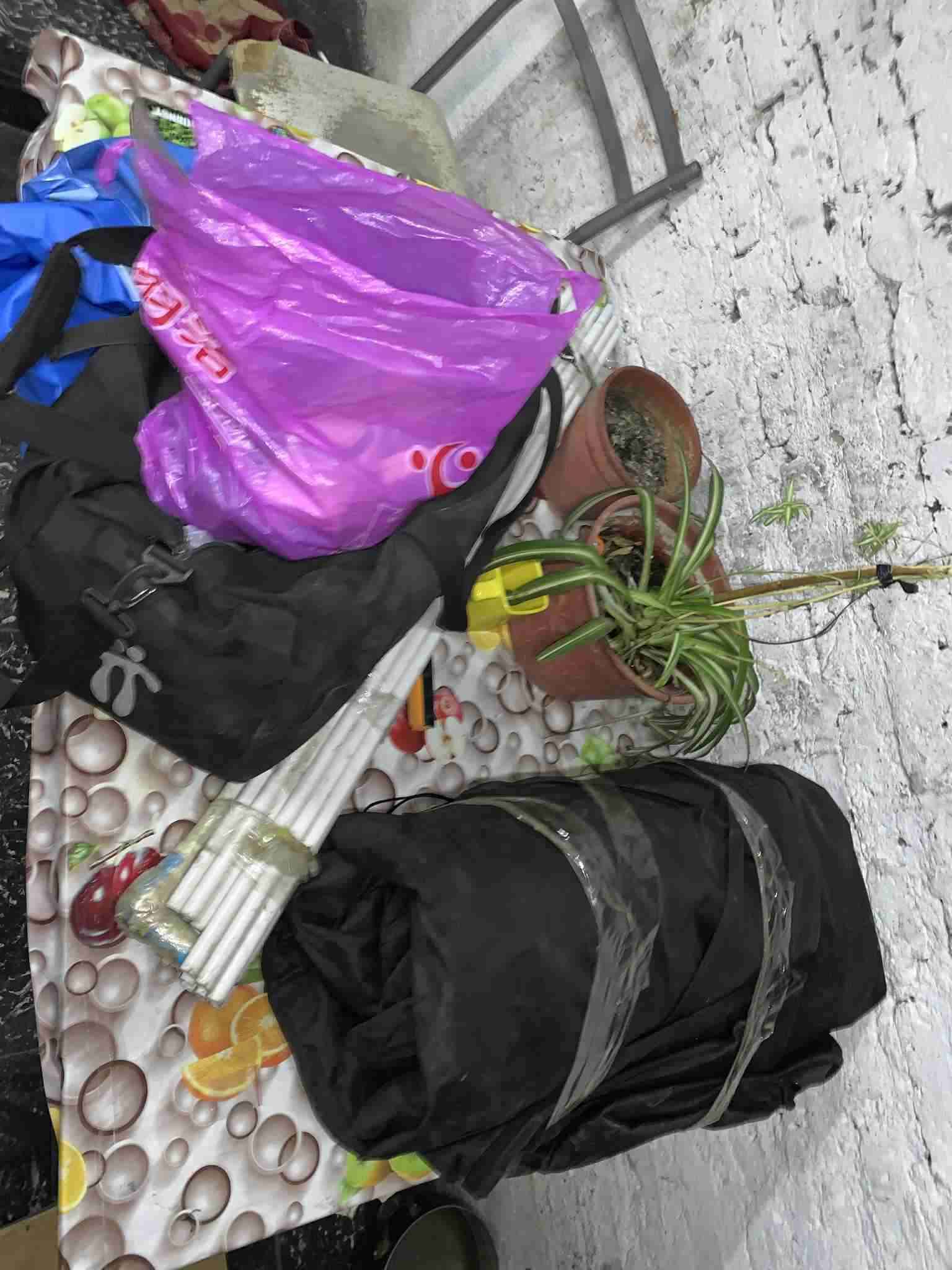 Indor completo - miniatura 4