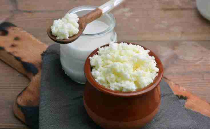 Granos de kéfir frescos - miniatura 3