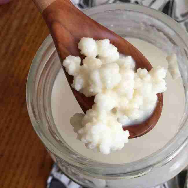 Granos de kéfir frescos - miniatura 4