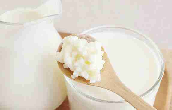 Granos de kéfir frescos - miniatura 5