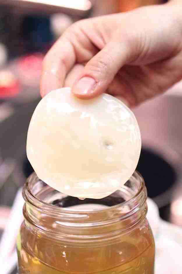 Cultivo de kombucha con SCOBY