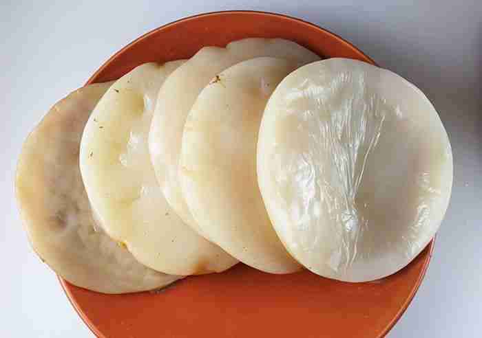 Cultivo de kombucha con SCOBY - miniatura 3